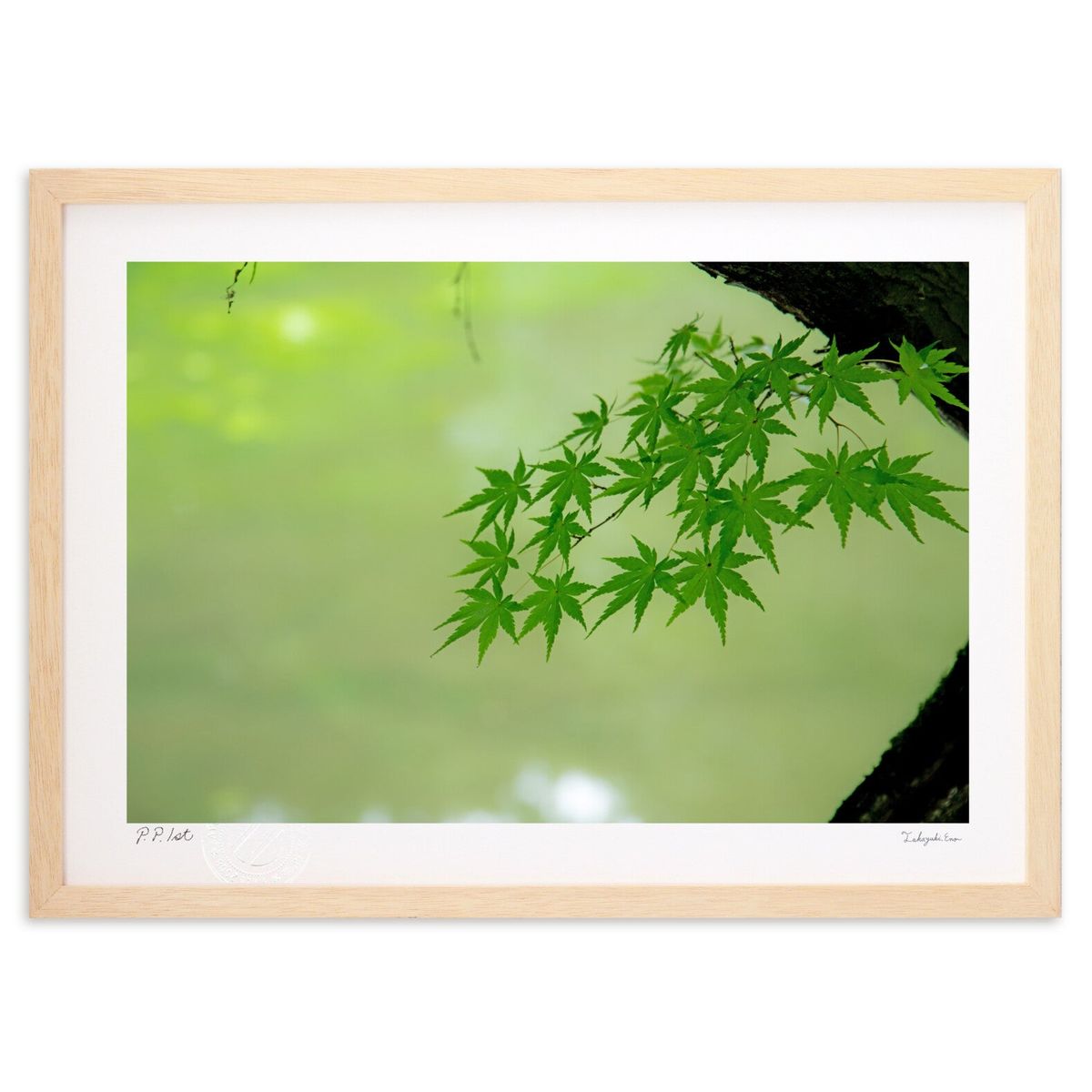 【スーパーSALE半額】版画 夏 。 もみじ 。 (瀬川憲)インテリア 壁掛け 額入り 風景画 ポスター アート リビング 玄関に飾る 風水 プレゼント モダン...