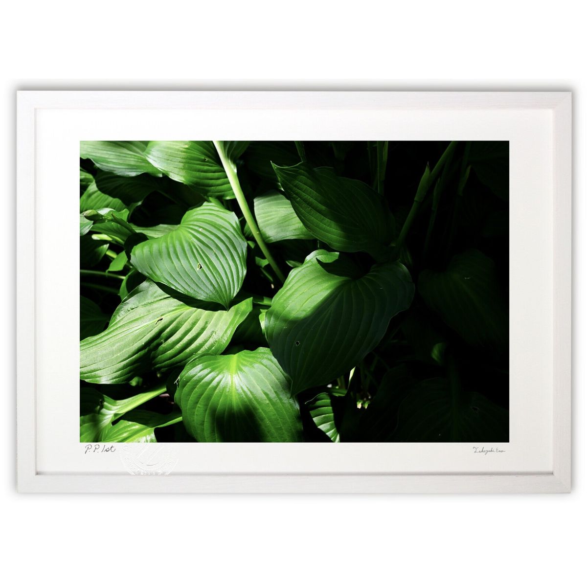 【スーパーSALE半額】版画 陽と影 (yutaka_tain_aka)インテリア 壁掛け 額入り 風景画 ポスター アート リビング 玄関に飾る 風水 プレゼ...