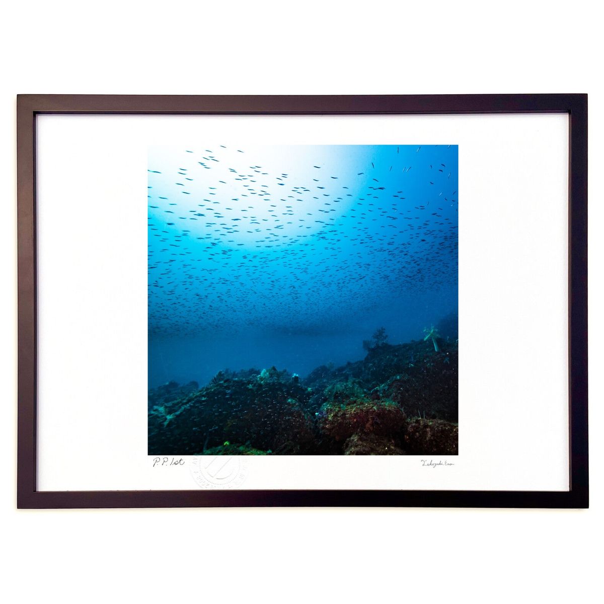 【スーパーSALE半額】版画 ある夏の海底風景 (Little Dinosaur)