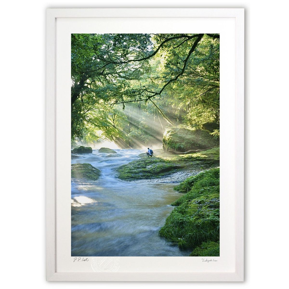 ڥѡSALEȾۡǲ Υ른åʸ (mitan)ƥꥢ ɳݤ  ʲ ݥ  ӥ ؤ˾  ץ쥼 ...