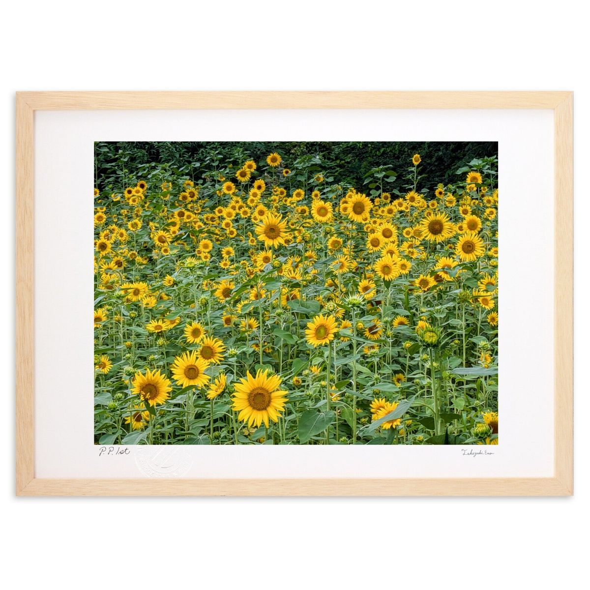 ڥѡSALEȾۡǲ  (ŷפޤ󤸤夦)ƥꥢ ɳݤ  ʲ ݥ  ӥ ؤ˾  ץ쥼  ...