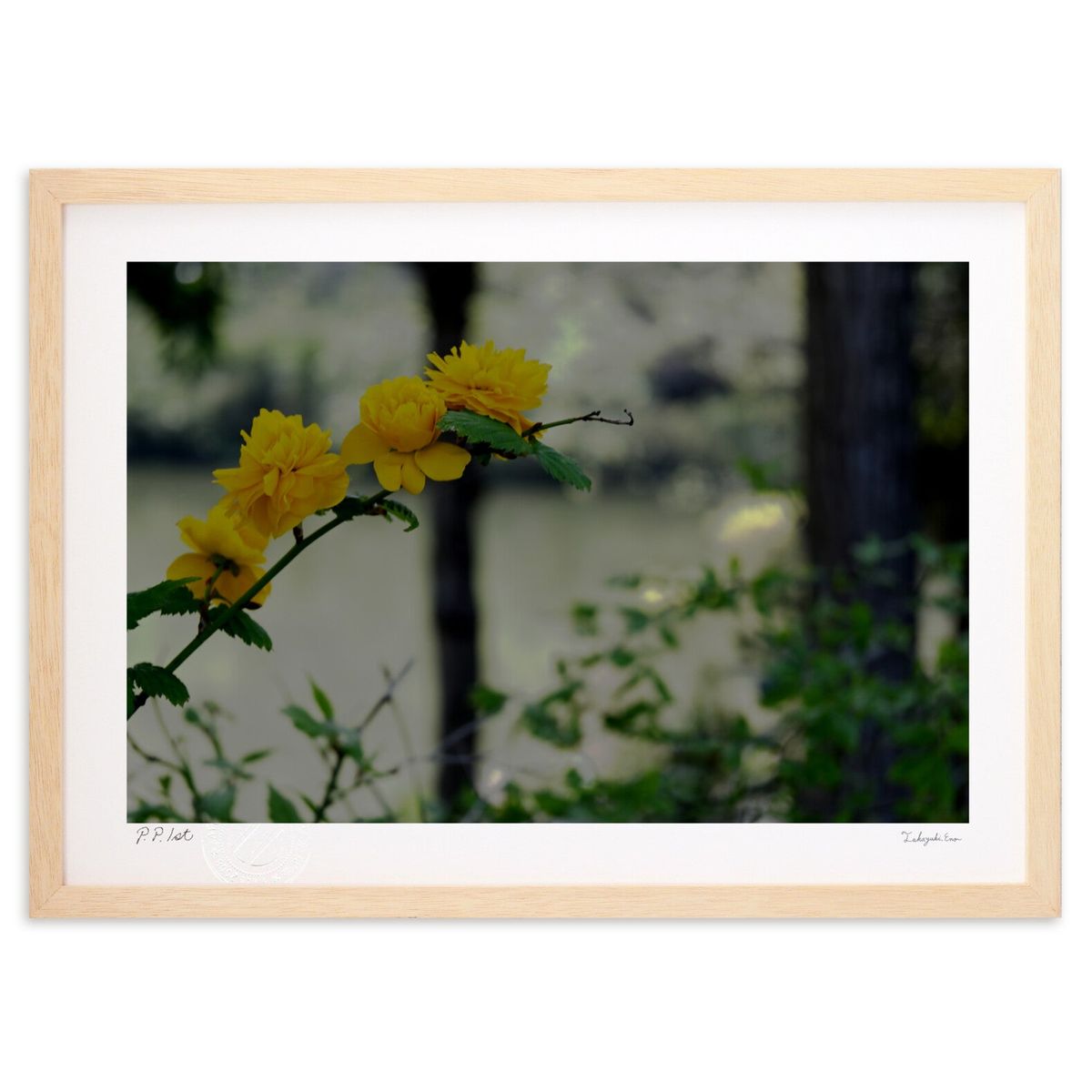 【スーパーSALE半額】版画 ほとり (yutaka_tain_aka)インテリア 壁掛け 額入り 風景画 ポスター アート リビング 玄関に飾る 風水 プレゼ...