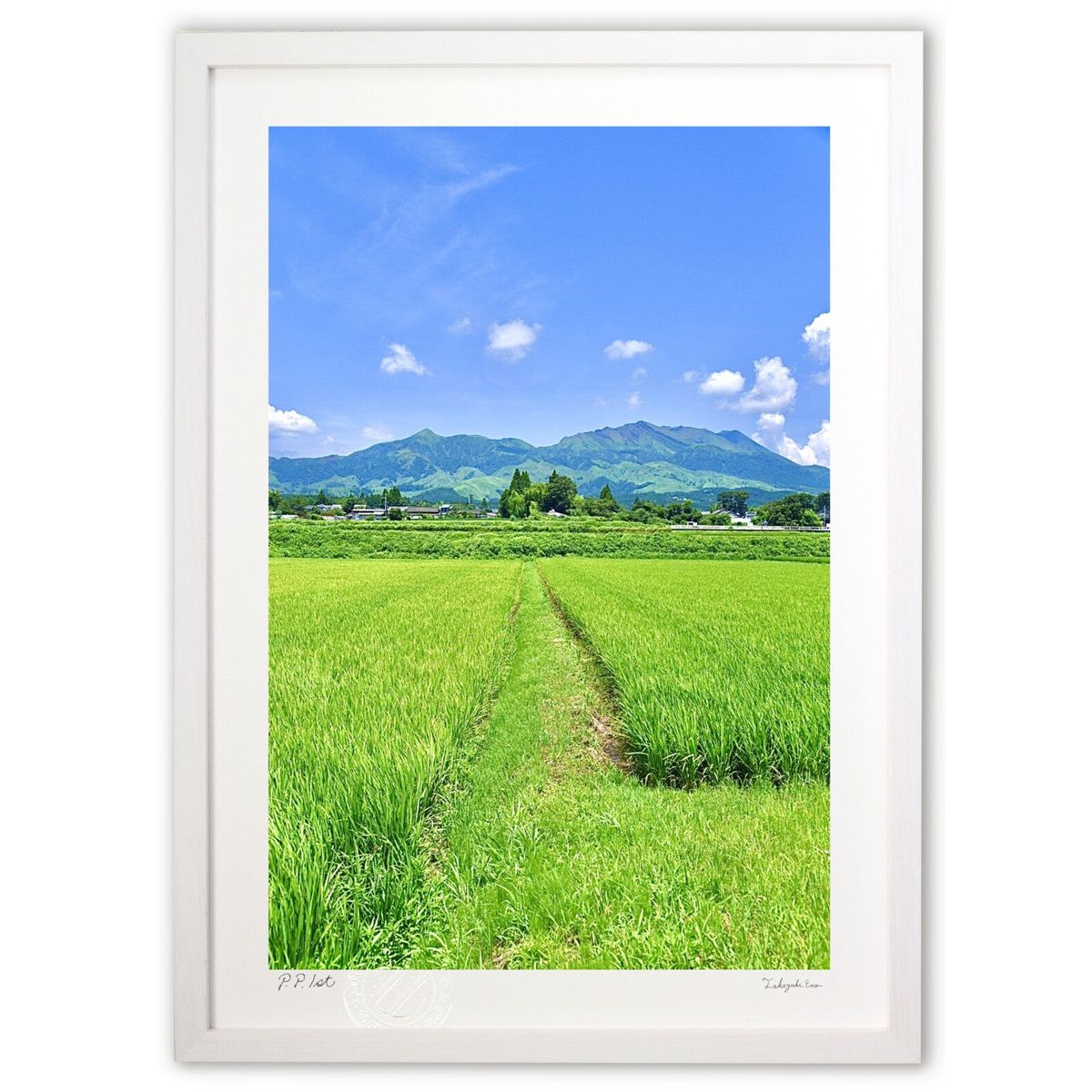 ڥѡSALEȾۡǲ Ƶ٤ߤۤ (mitan)ƥꥢ ɳݤ  ʲ ݥ  ӥ ؤ˾  ץ쥼 ...