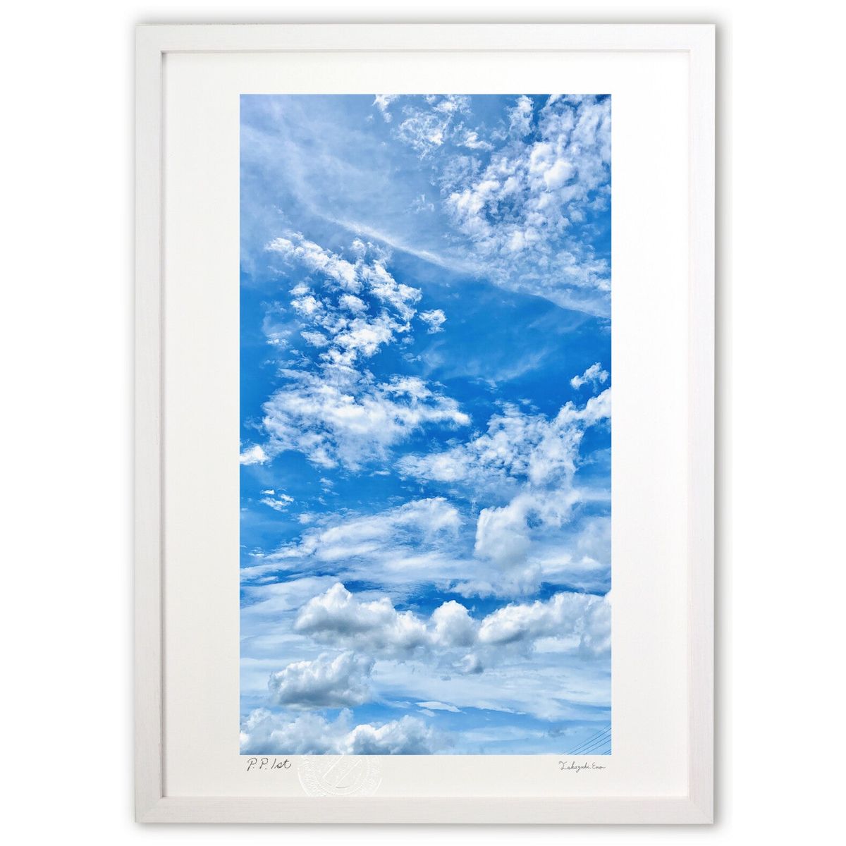 ڥѡSALEȾۡǲ  (mitan)ƥꥢ ɳݤ  ʲ ݥ  ӥ ؤ˾  ץ쥼  ...