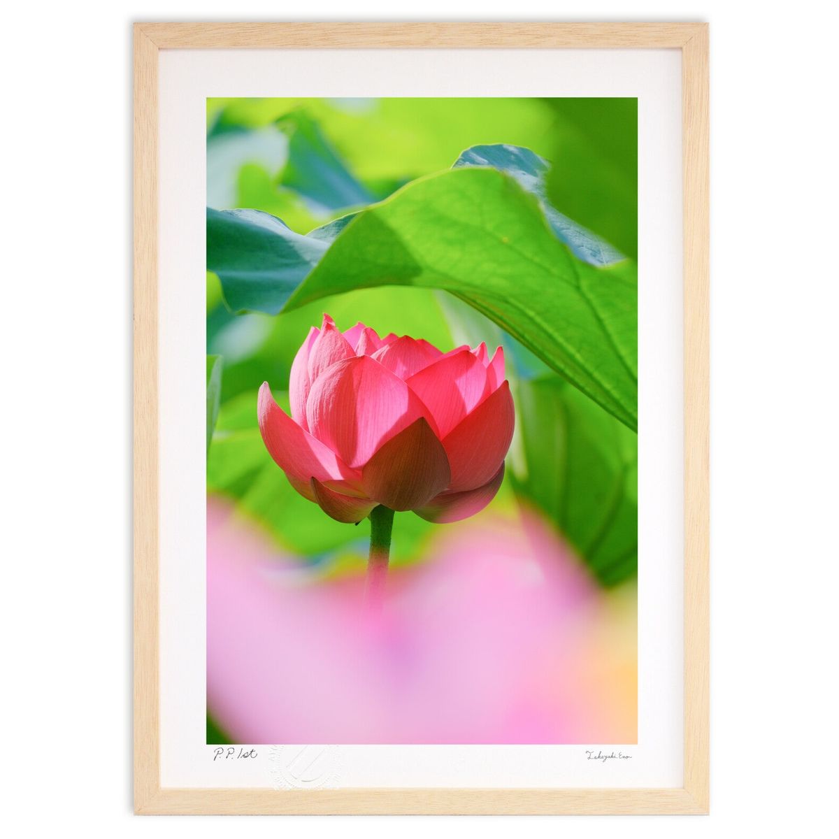 ڥѡSALEȾۡǲ ϡ (ɼ)ƥꥢ ɳݤ  ʲ ݥ  ӥ ؤ˾  ץ쥼  ȥե졼