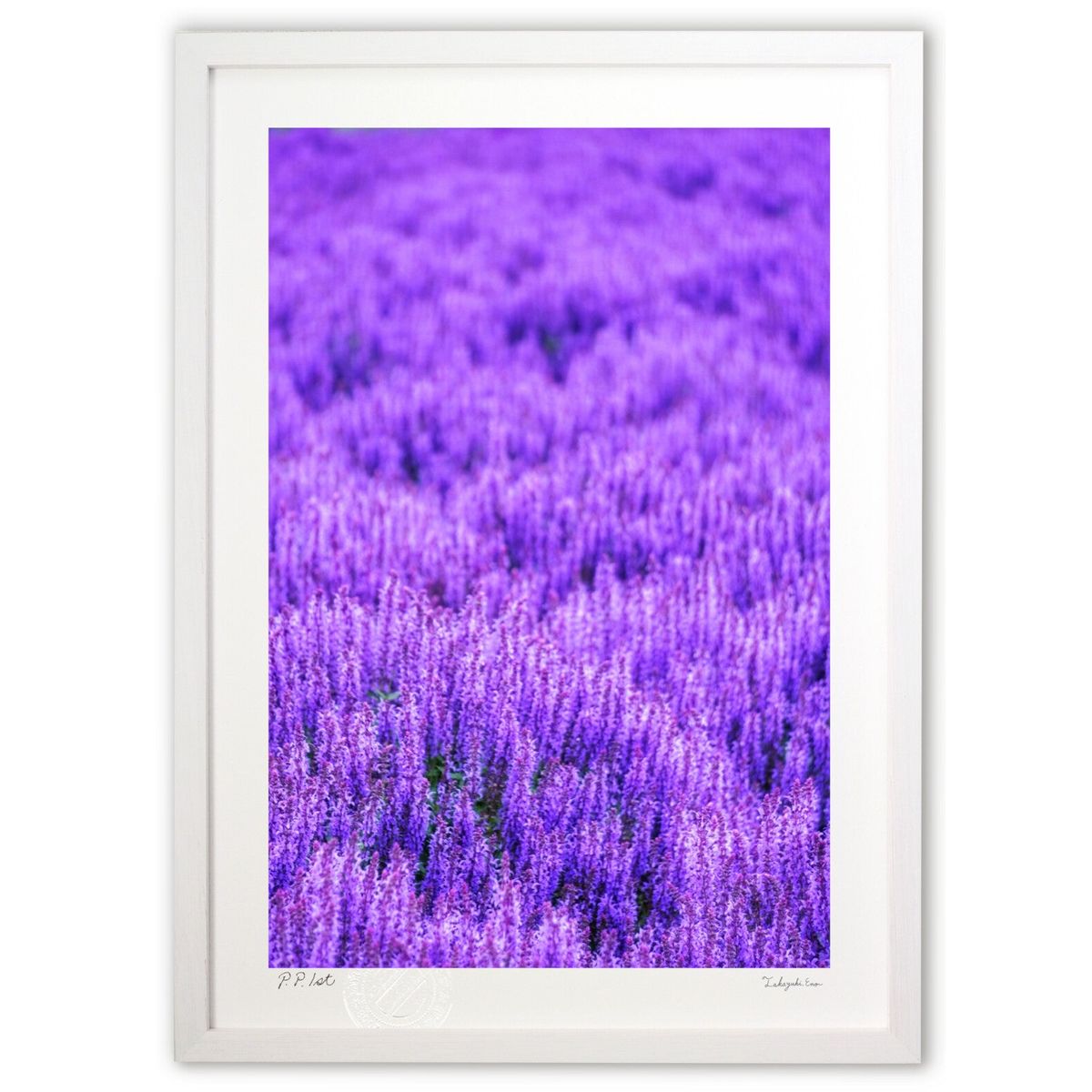 ڥѡSALEȾۡǲ ̳ƻΥåȥߥ (blackswan)