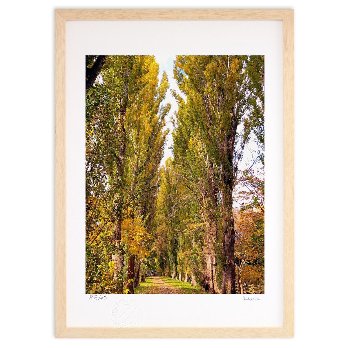 ڥѡSALEȾۡǲ  (ΡХ˥)ƥꥢ ɳݤ  ʲ ݥ  ӥ ؤ˾  ץ쥼  ...