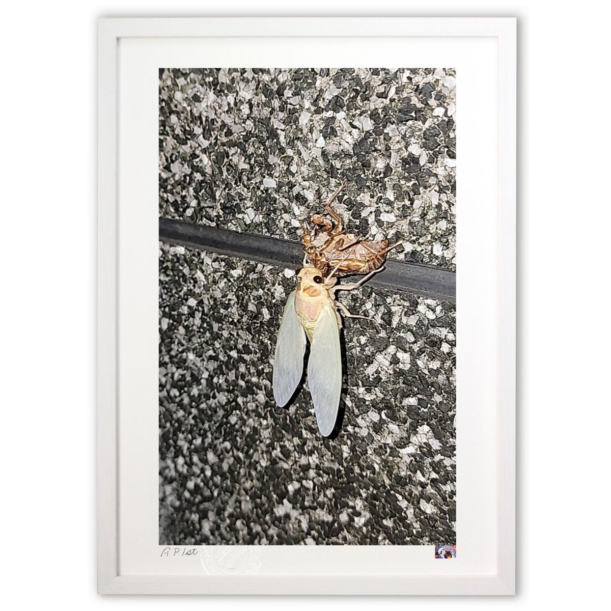 ڥѡSALEȾۡǲ ʲ (Ϣ)ƥꥢ ɳݤ  ʲ ݥ  ӥ ؤ˾  ץ쥼  ȥե졼...