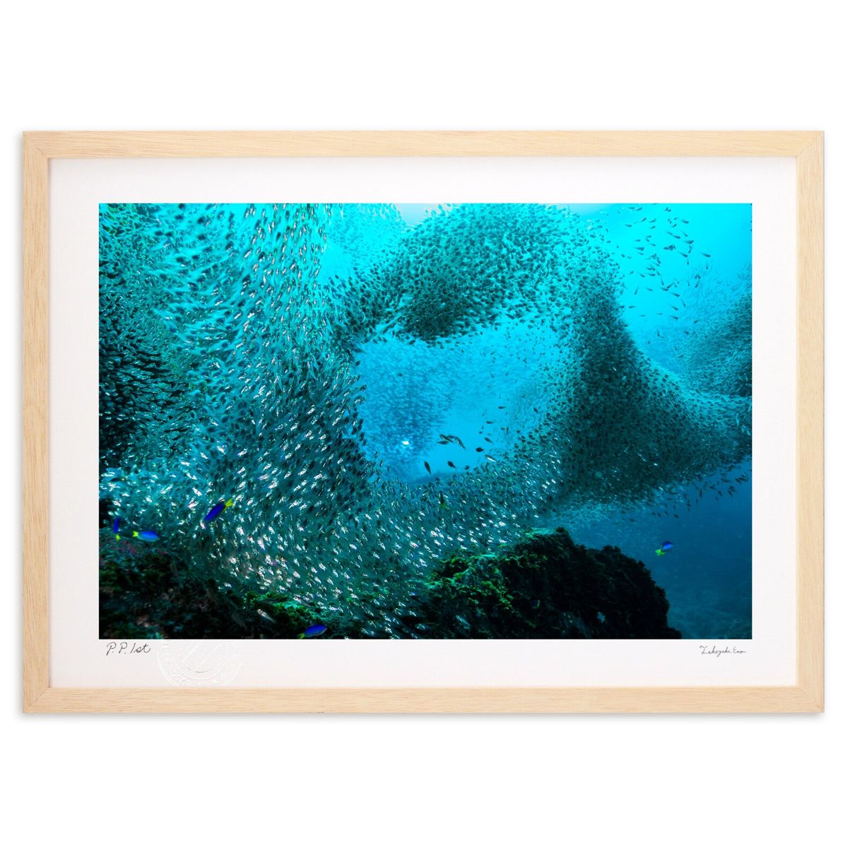 ڥѡSALEȾۡǲ  (Little Dinosaur)