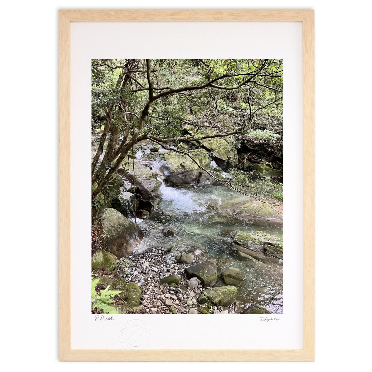 ڥѡSALEȾۡǲ ä (YURIM)ƥꥢ ɳݤ  ʲ ݥ  ӥ ؤ˾  ץ쥼  ...