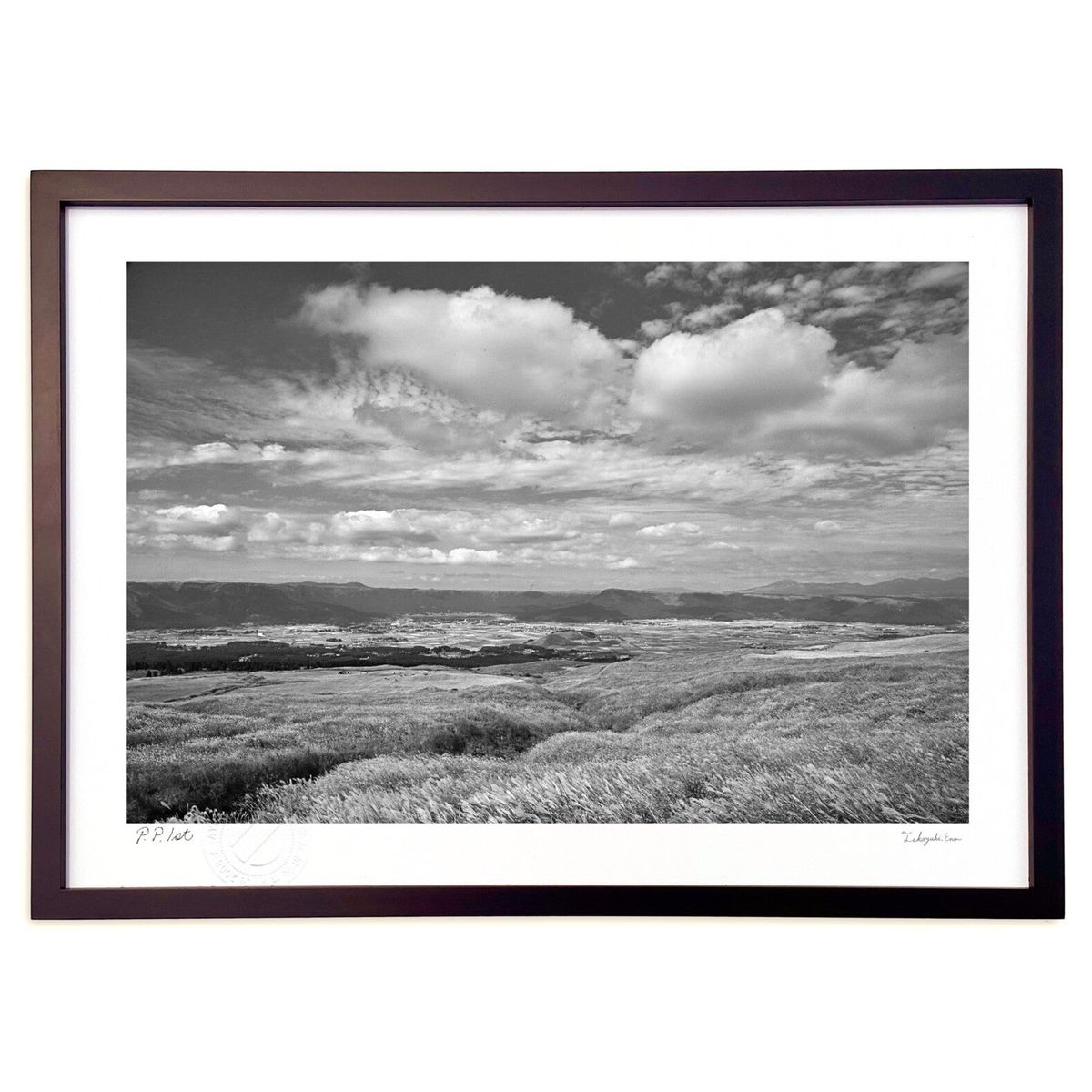 ڥѡSALEȾۡǲ ɤΥ (mitan)ƥꥢ ɳݤ  ʲ ݥ  ӥ ؤ˾  ץ쥼 ...