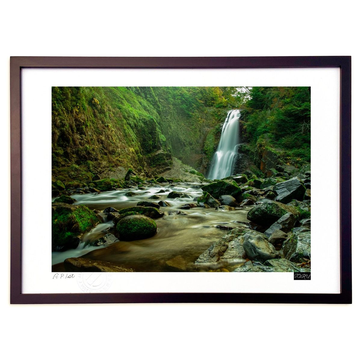 ڥѡSALEȾۡǲ  (shiracam)ƥꥢ ɳݤ  ʲ ݥ  ӥ ؤ˾  ץ쥼 ...