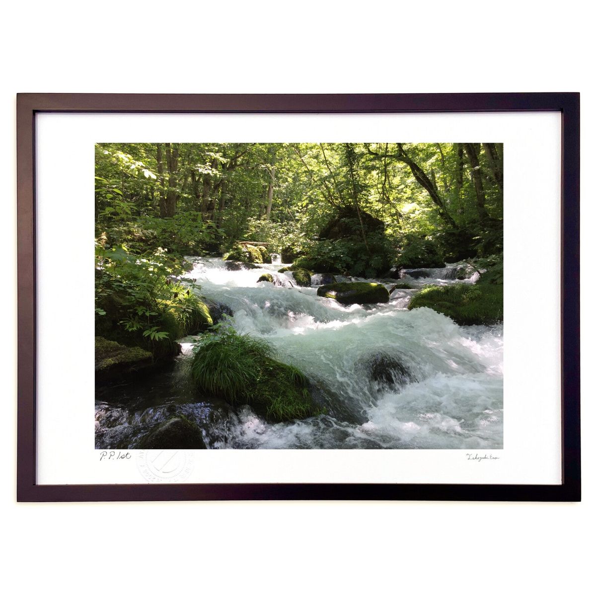 ڥѡSALEȾۡǲ ή ()ƥꥢ ɳݤ  ʲ ݥ  ӥ ؤ˾  ץ쥼  ...