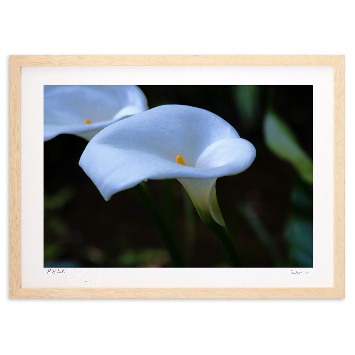 【スーパーSALE半額】版画 白無垢の様な白色に魅惑される。 (瀬川憲)インテリア 壁掛け 額入り 風景画 ポスター アート リビング 玄関に飾る 風水 プレゼ...