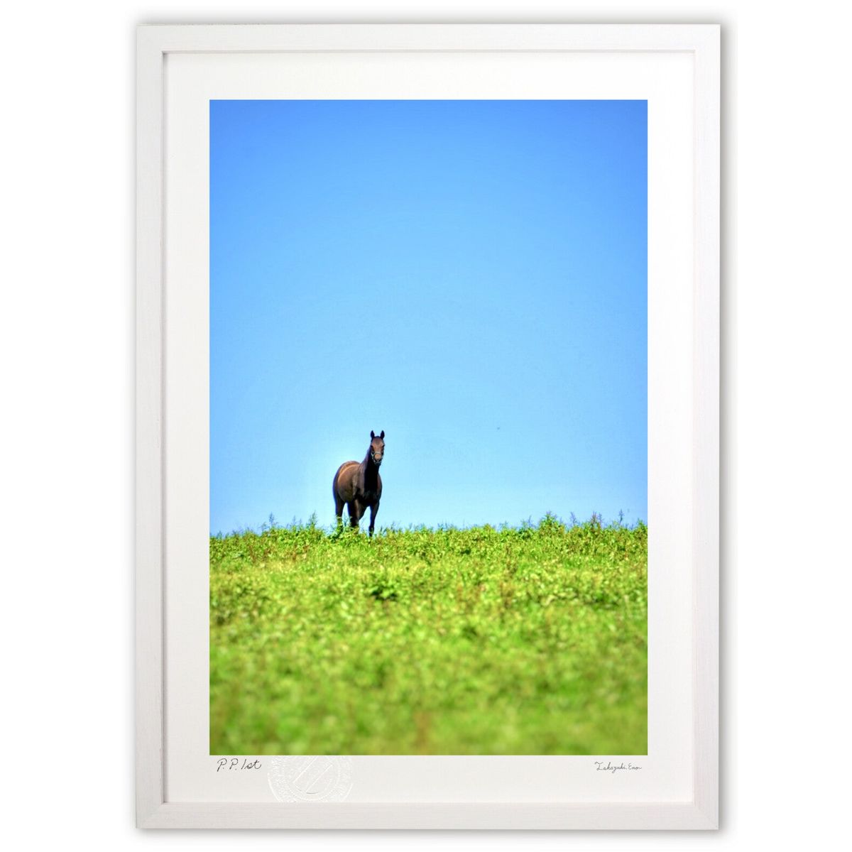 【スーパーSALE半額】版画 ロンリーサラブレッド (blackswan)