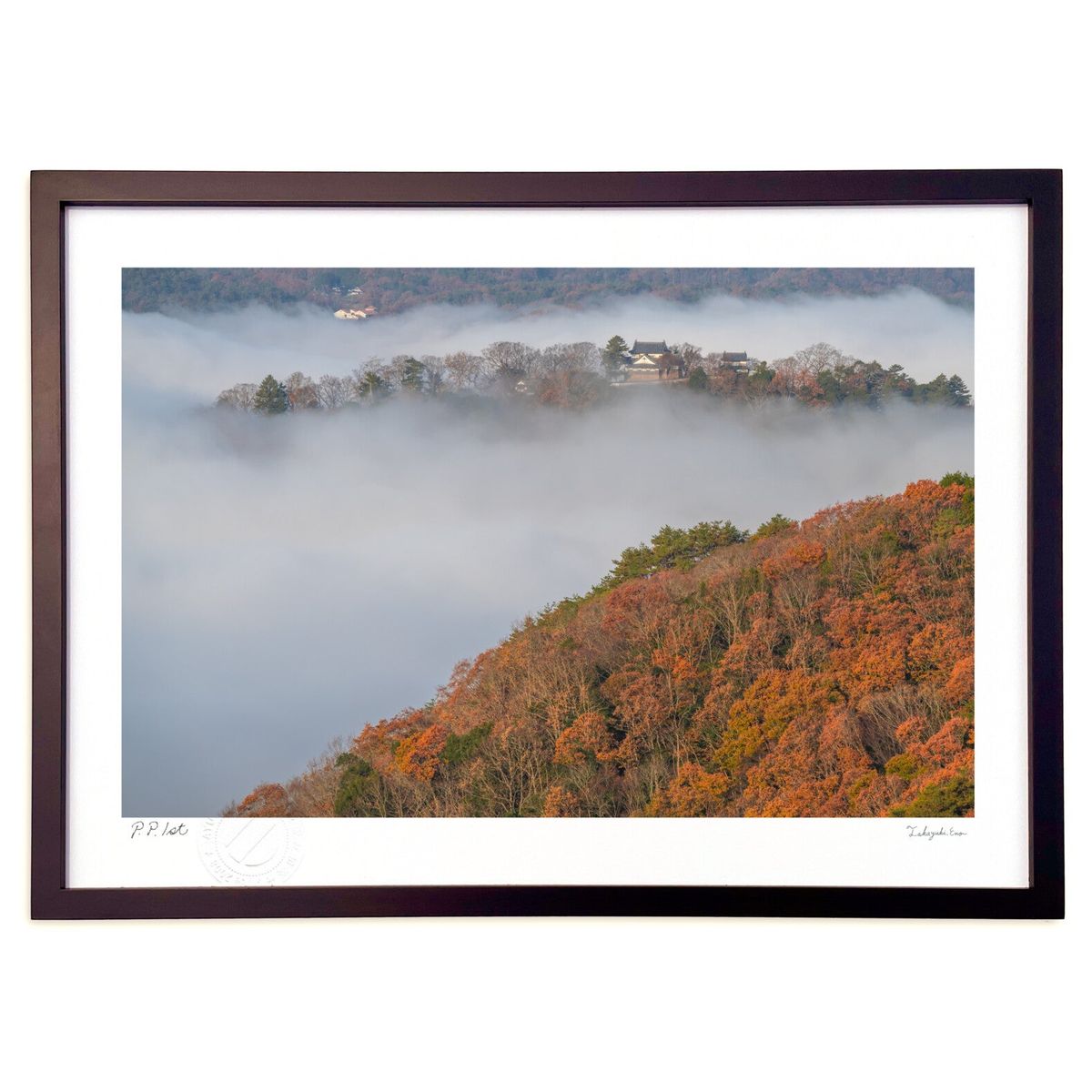 ڥѡSALEȾۡǲ ŷλ롡澾 (magicalphoto)