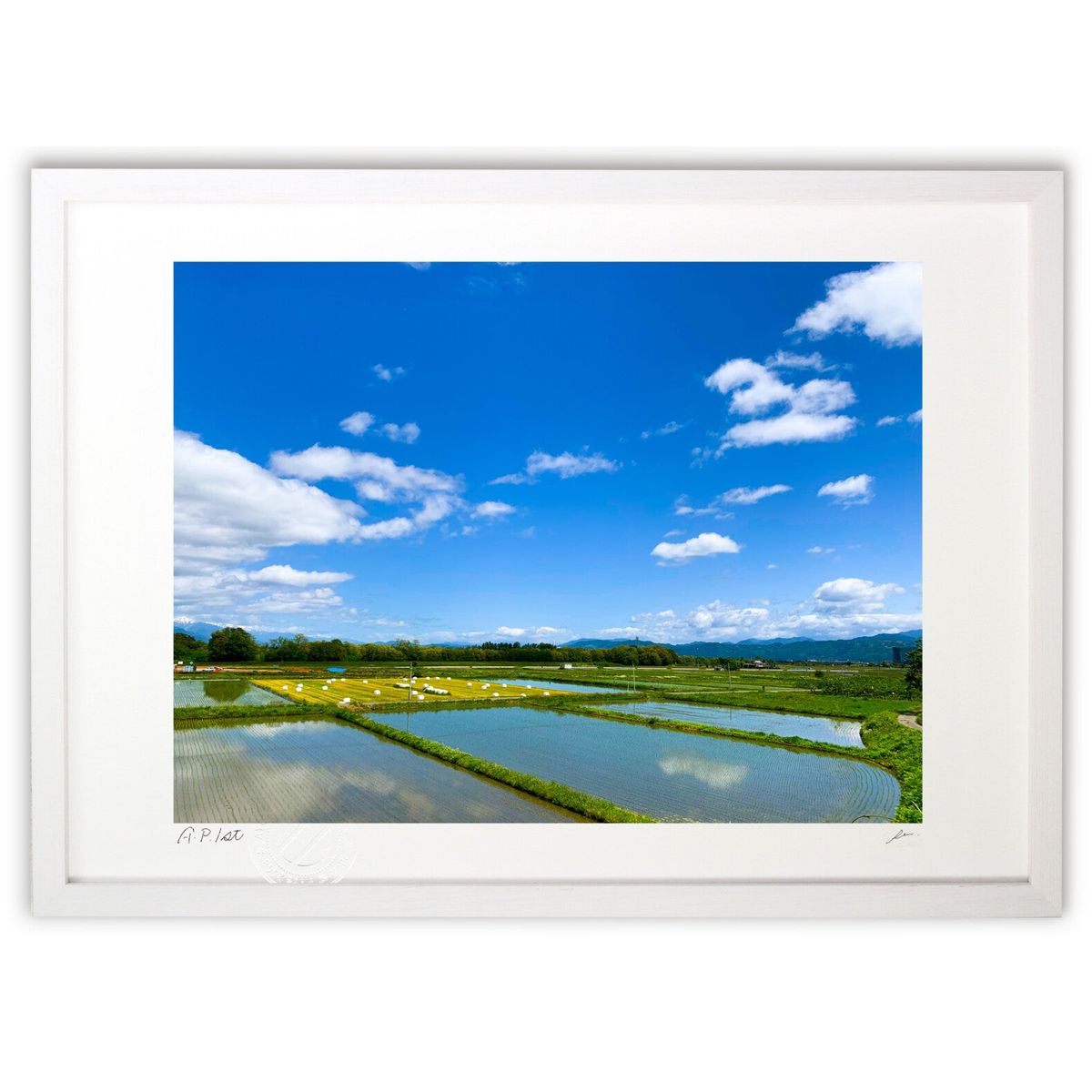 ڥѡSALEȾۡǲ Photo ضĤܡ (Pen.)ƥꥢ ɳݤ  ʲ ݥ  ӥ ؤ˾  ץ쥼...