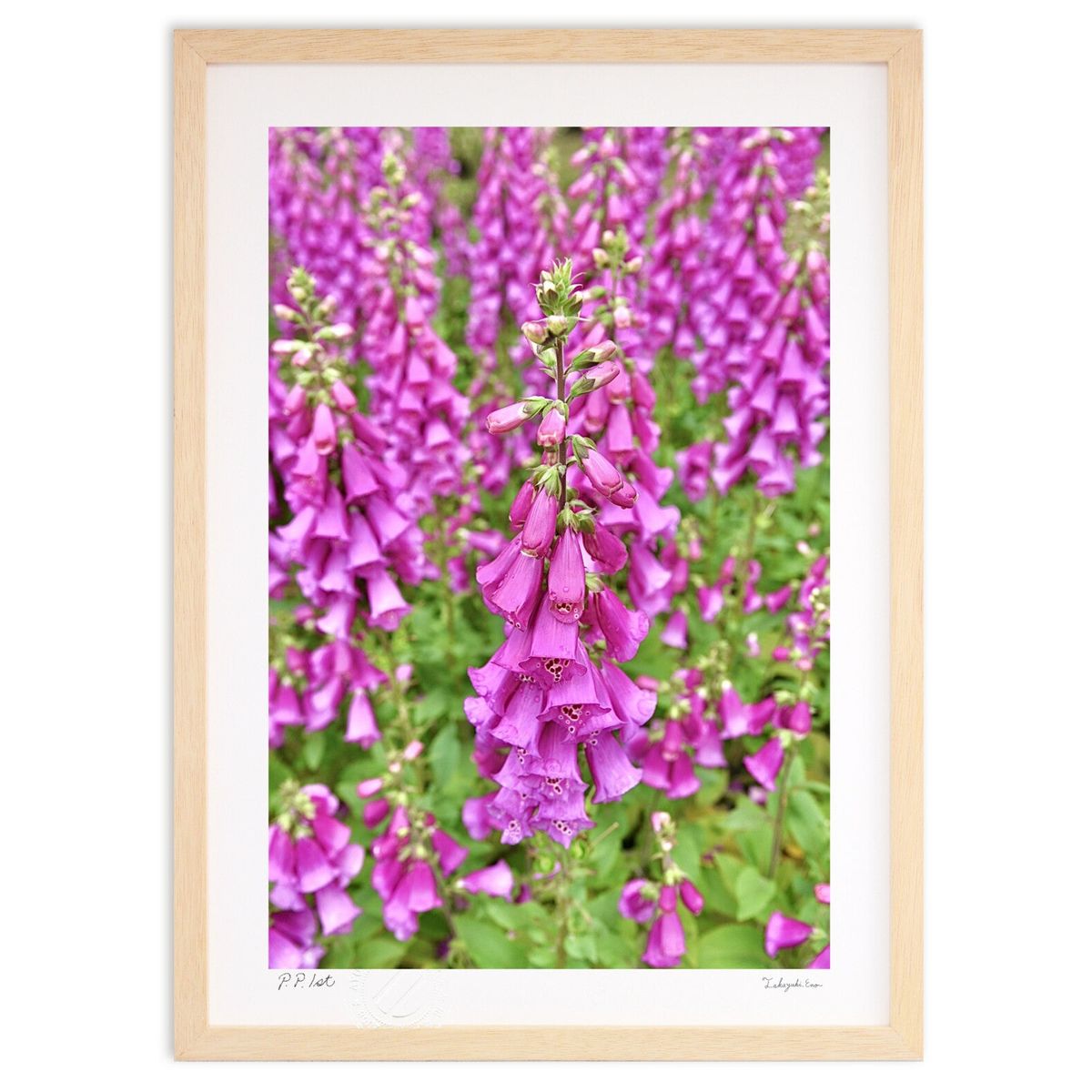 【スーパーSALE半額】版画 キツネの手袋 (mitan)インテリア 壁掛け 額入り 風景画 ポスター アート リビング 玄関に飾る 風水 プレゼント モダン ...