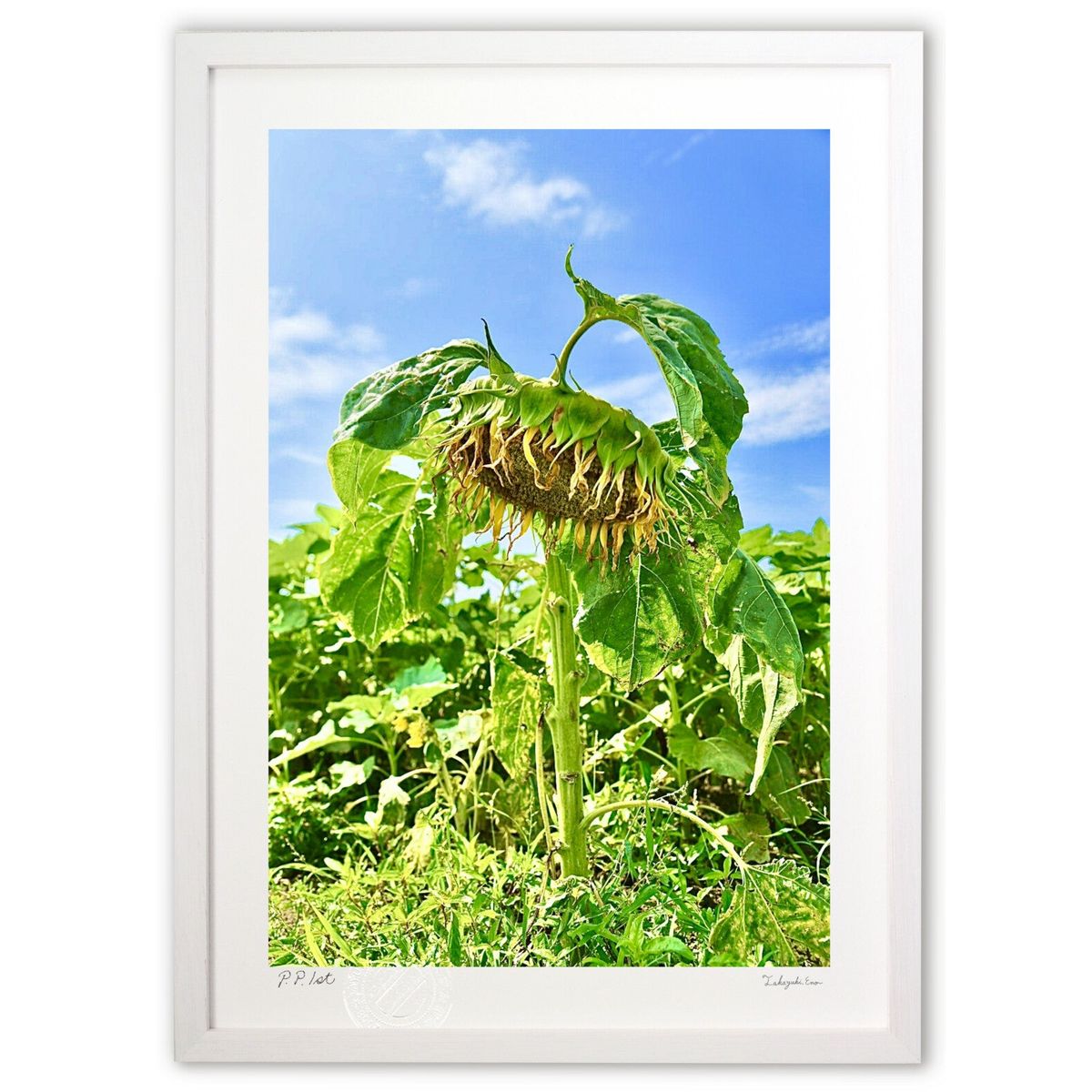 【スーパーSALE半額】版画 Haunted Sunflower (mitan)