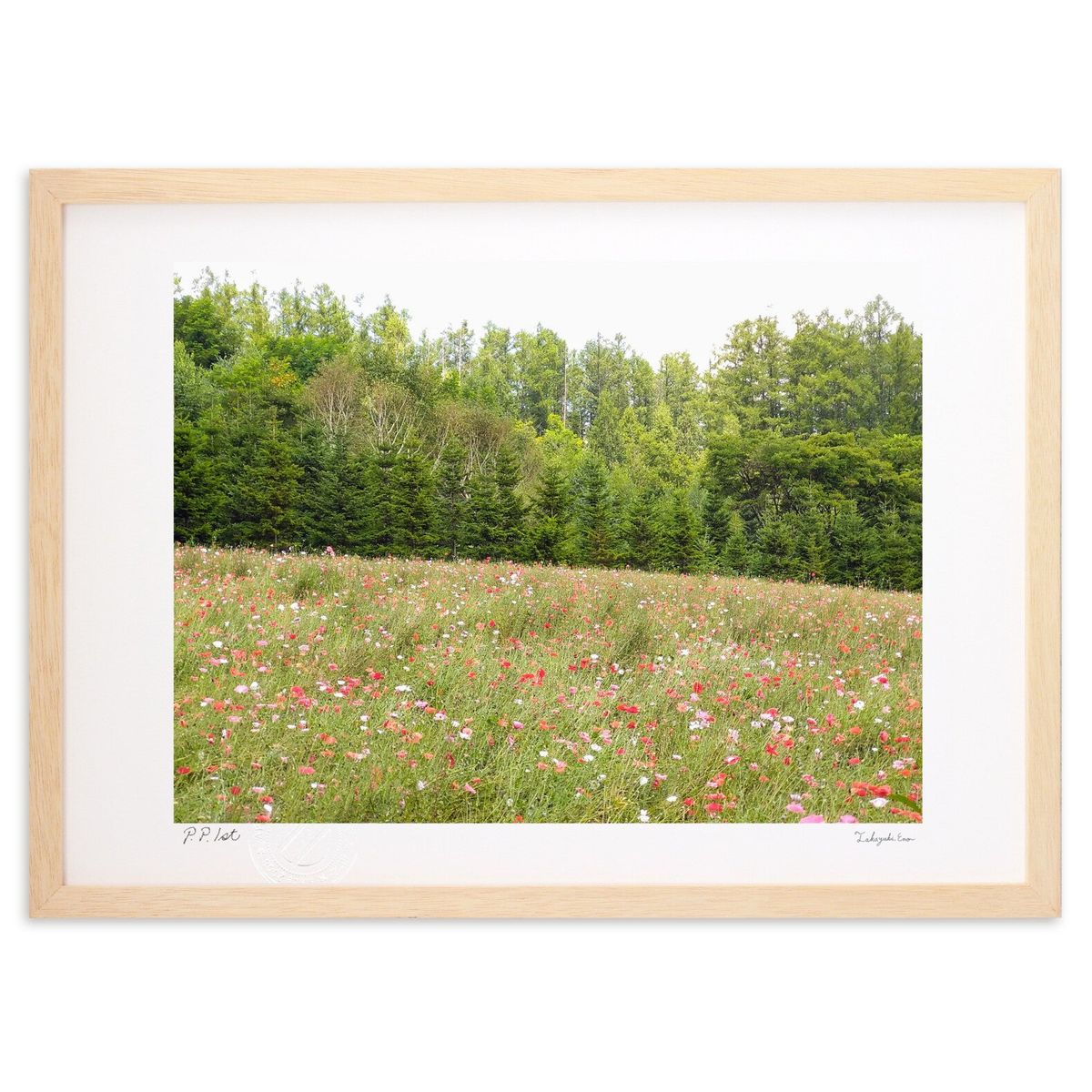 【スーパーSALE半額】版画 ポピーの花 (スノーバニラ)インテリア 壁掛け 額入り 風景画 ポスター アート リビング 玄関に飾る 風水 プレゼント モダン ...