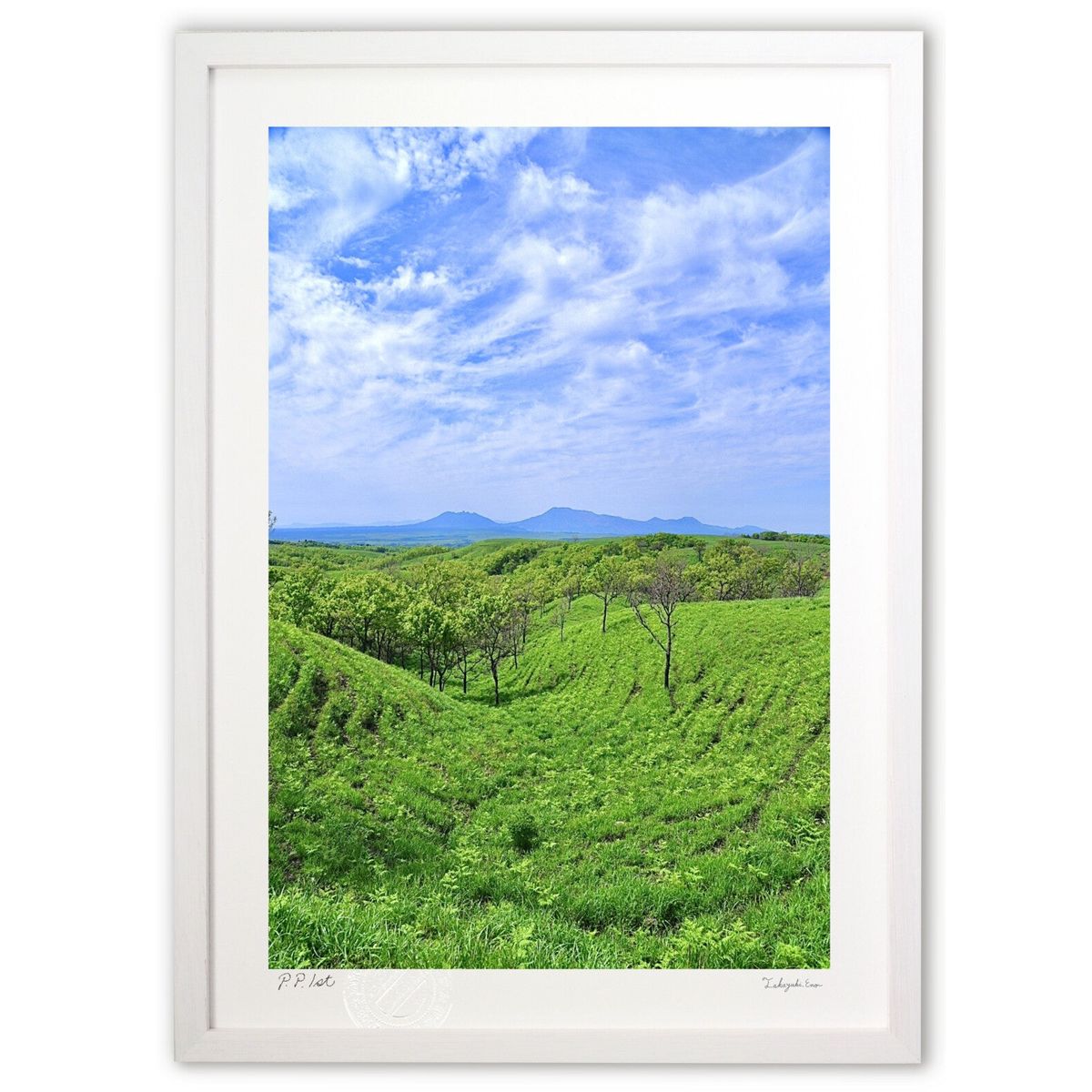 ڥѡSALEȾۡǲ ƻ𸶤 (mitan)ƥꥢ ɳݤ  ʲ ݥ  ӥ ؤ˾  ץ쥼 ...