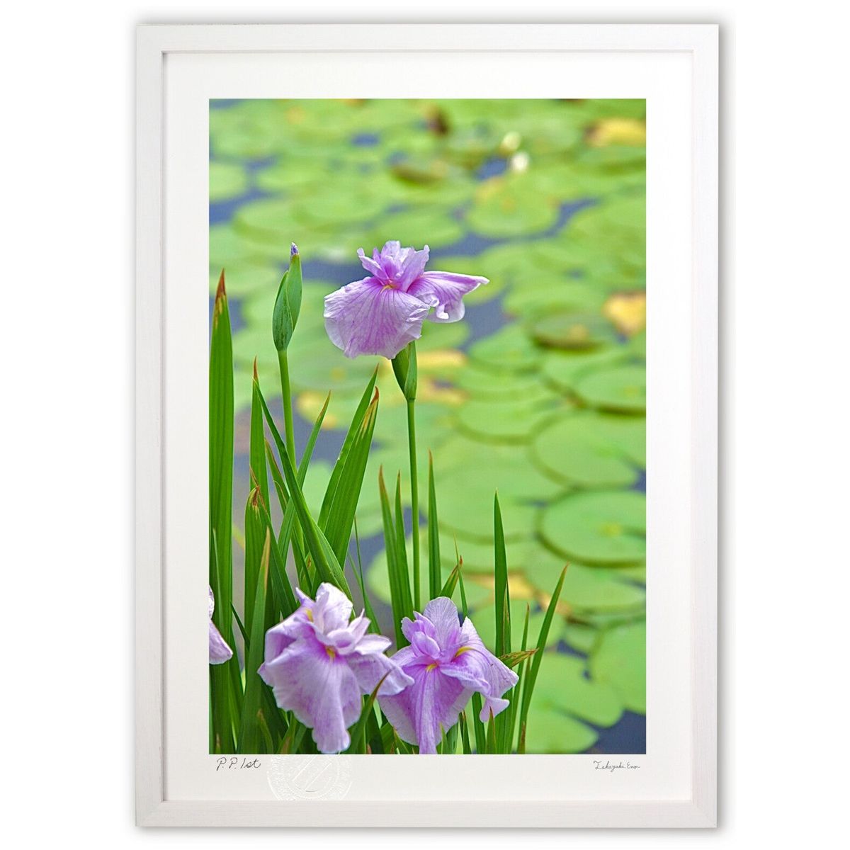 【スーパーSALE半額】版画 水辺の風景 (mitan)インテリア 壁掛け 額入り 風景画 ポスター アート リビング 玄関に飾る 風水 プレゼント モダン ア...