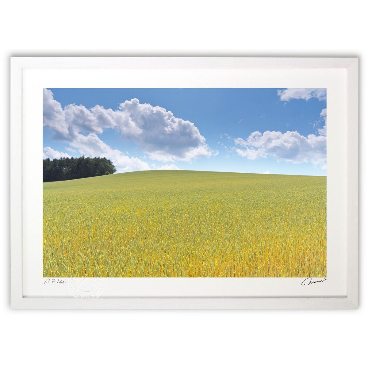 ڥѡSALEȾۡǲ ε (髙)ƥꥢ ɳݤ  ʲ ݥ  ӥ ؤ˾  ץ쥼 ...