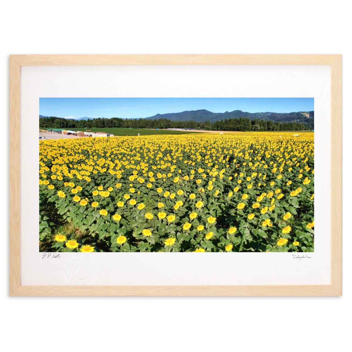 ڥѡSALEȾۡǲ  (recno4do)ƥꥢ ɳݤ  ʲ ݥ  ӥ ؤ˾  ץ쥼 ...