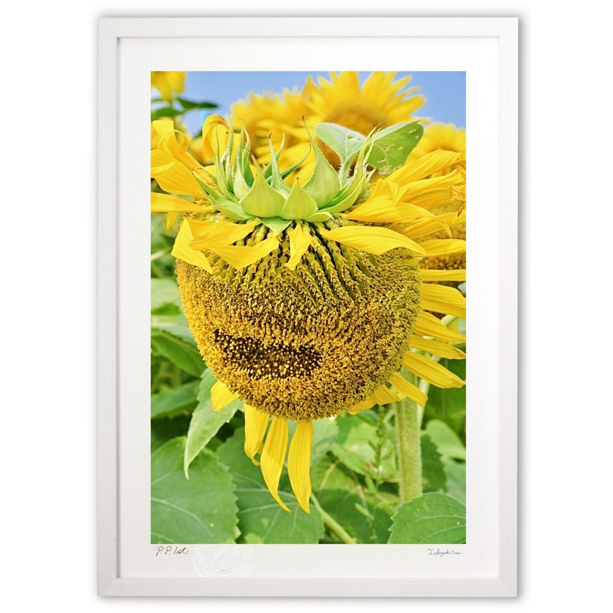 【スーパーSALE半額】版画 ひまわり殿下 (mitan)インテリア 壁掛け 額入り 風景画 ポスター アート リビング 玄関に飾る 風水 プレゼント モダン ...