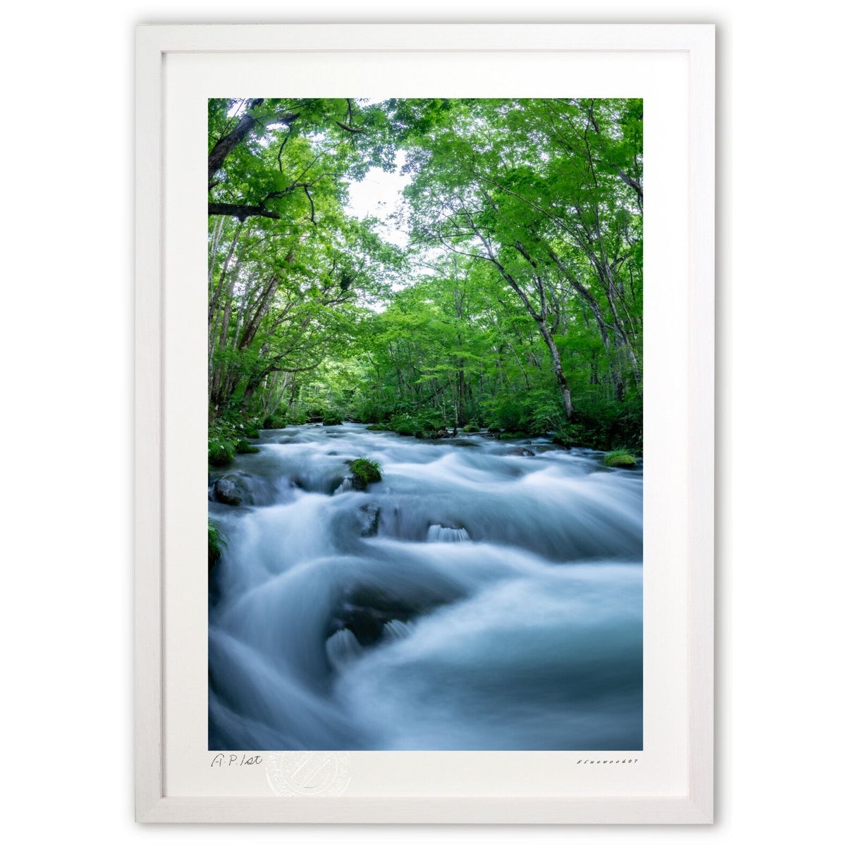 ڥѡSALEȾۡǲ ήեå奢ˤ (bluewoods07)