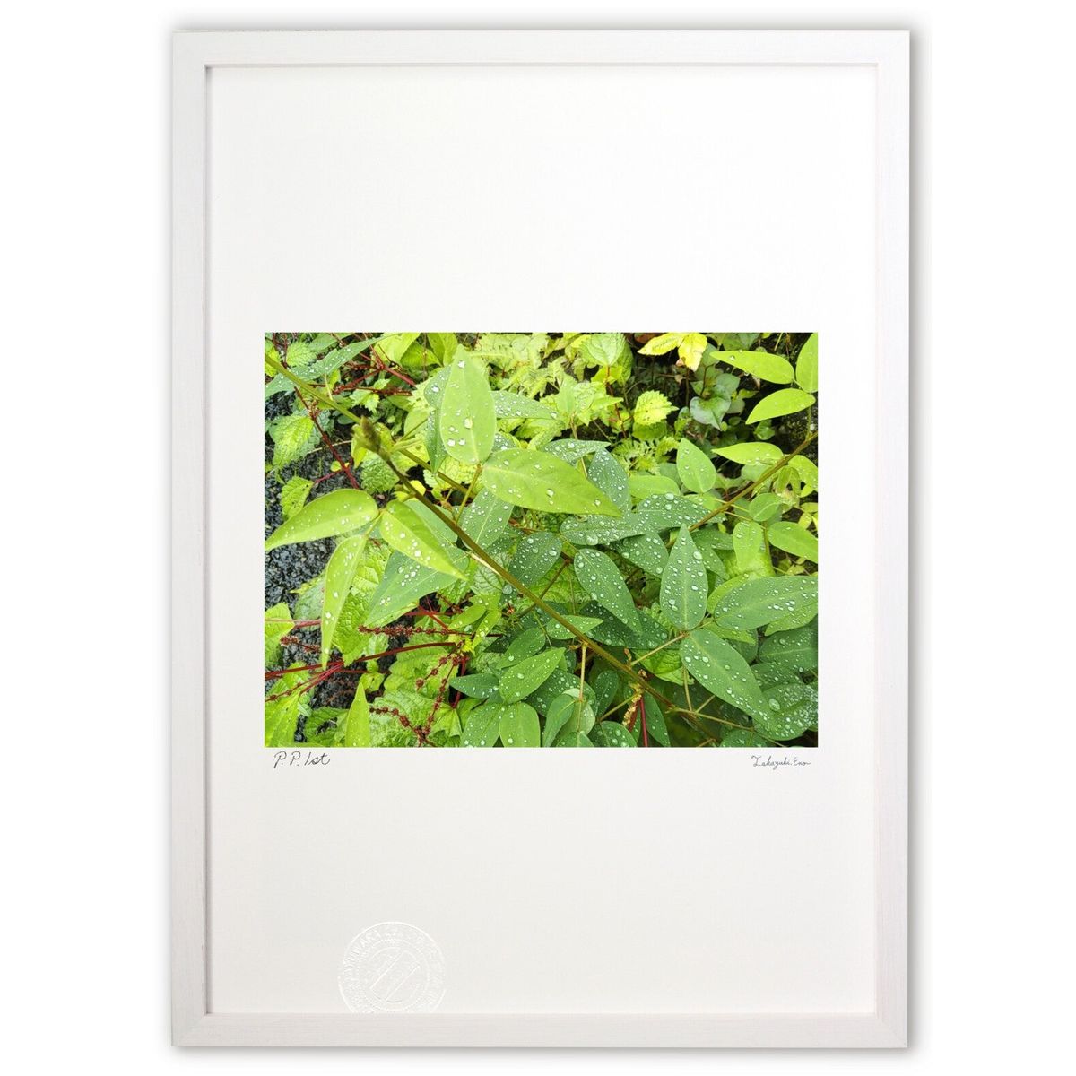 【スーパーSALE半額】版画 滴る (羽山 アイト)インテリア 壁掛け 額入り 風景画 ポスター アート リビング 玄関に飾る 風水 プレゼント モダン アート...