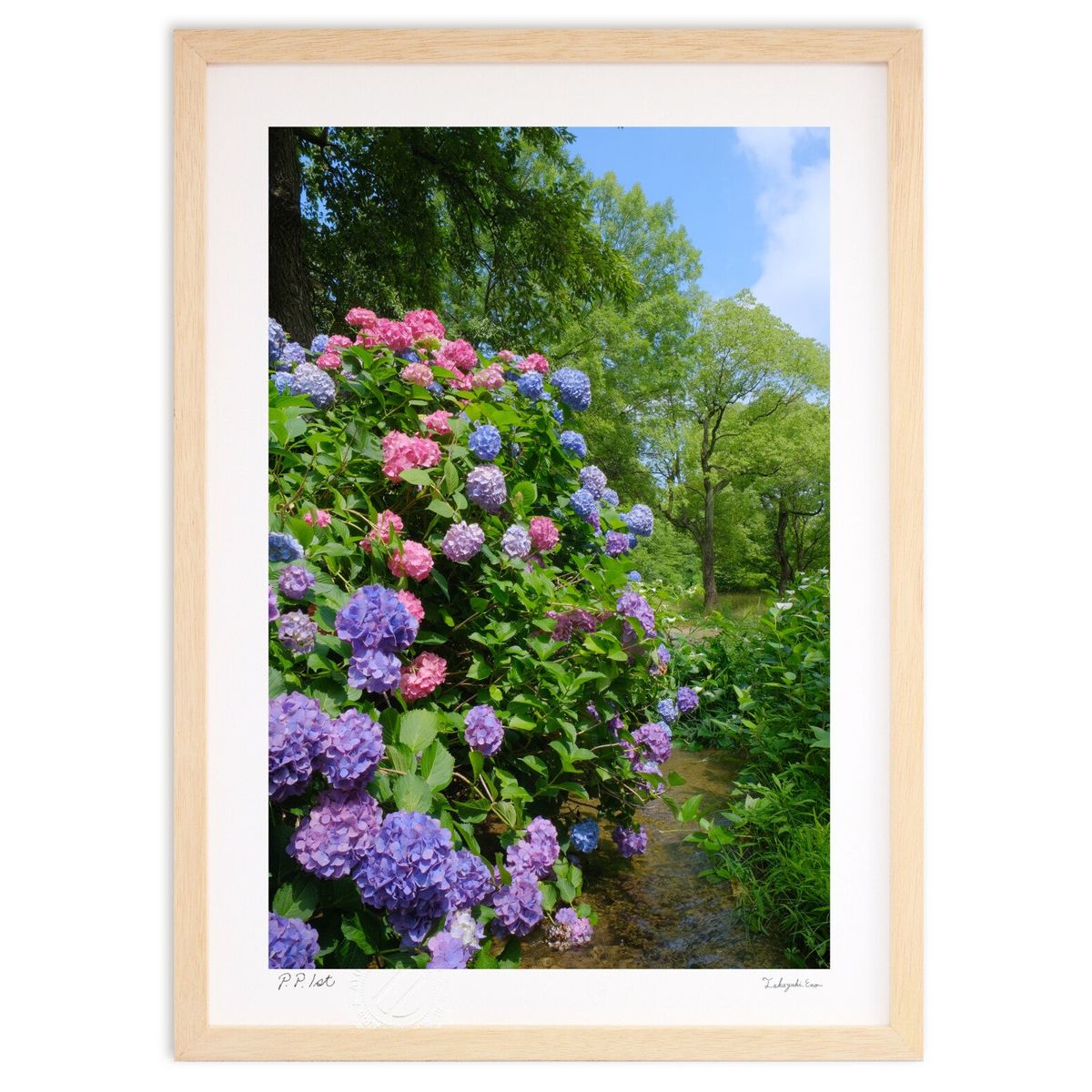 ڥѡSALEȾۡǲ 餮λ۲ (ɼ)ƥꥢ ɳݤ  ʲ ݥ  ӥ ؤ˾  ץ쥼  ...