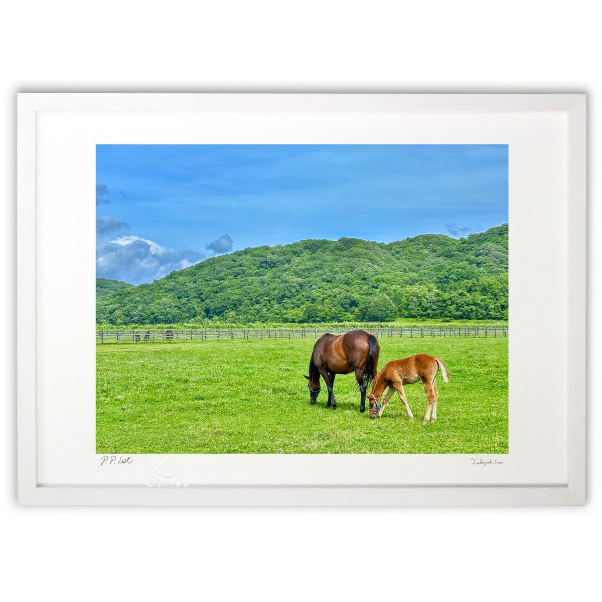 【スーパーSALE半額】版画 競走馬の卵 (blackswan)インテリア 壁掛け 額入り 風景画 ポスター アート リビング 玄関に飾る 風水 プレゼント モ...