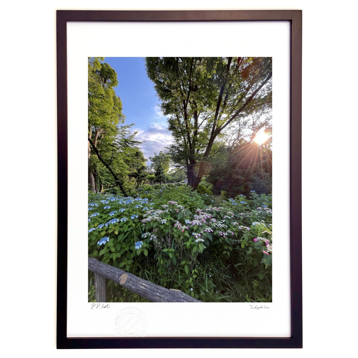 ڥѡSALEȾۡǲ ͼλ⡡۲֤ƻ ()ƥꥢ ɳݤ  ʲ ݥ  ӥ ؤ˾  ץ쥼 ...