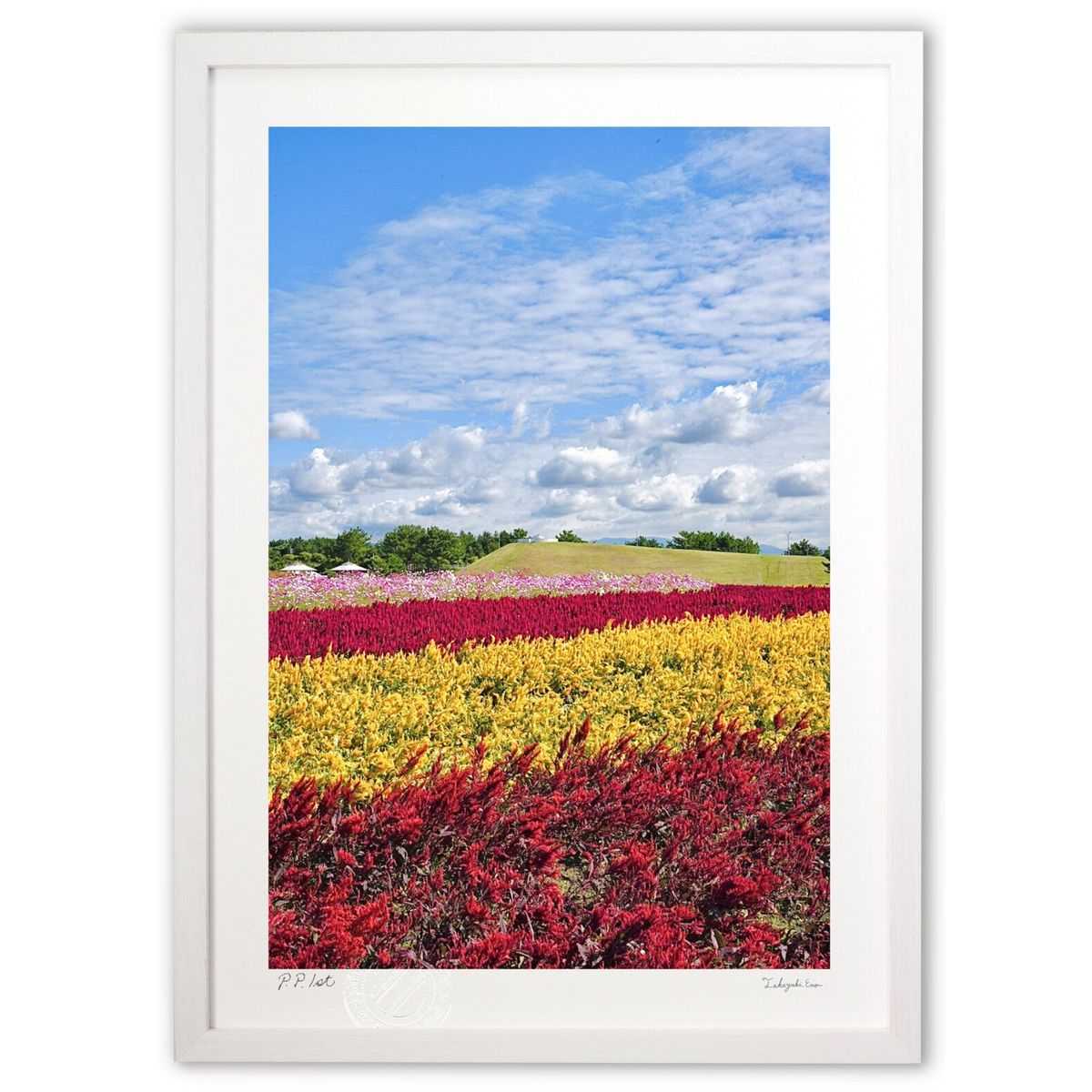 【スーパーSALE半額】版画 ケイトウ畑 (mitan)インテリア 壁掛け 額入り 風景画 ポスター アート リビング 玄関に飾る 風水 プレゼント モダン ア...