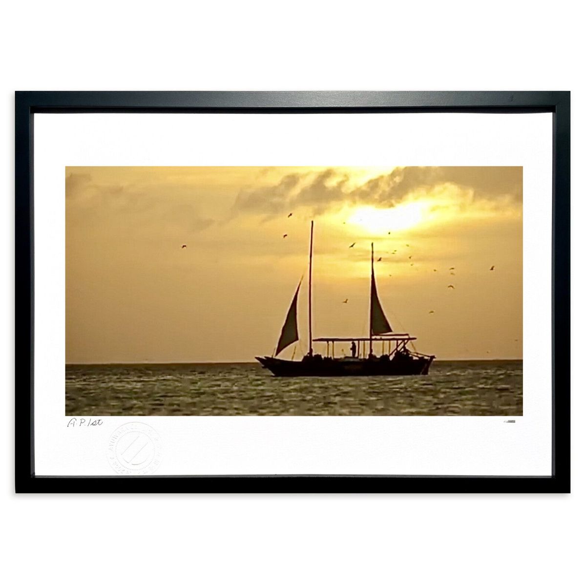 ڥѡSALEȾۡǲ  (kaminacoloursʥߥʥ顼)