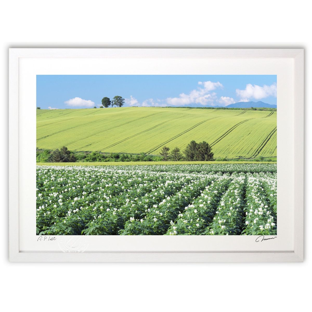 ڥѡSALEȾۡǲ 㤬βֺ餯 (髙)ƥꥢ ɳݤ  ʲ ݥ  ӥ ؤ˾  ...