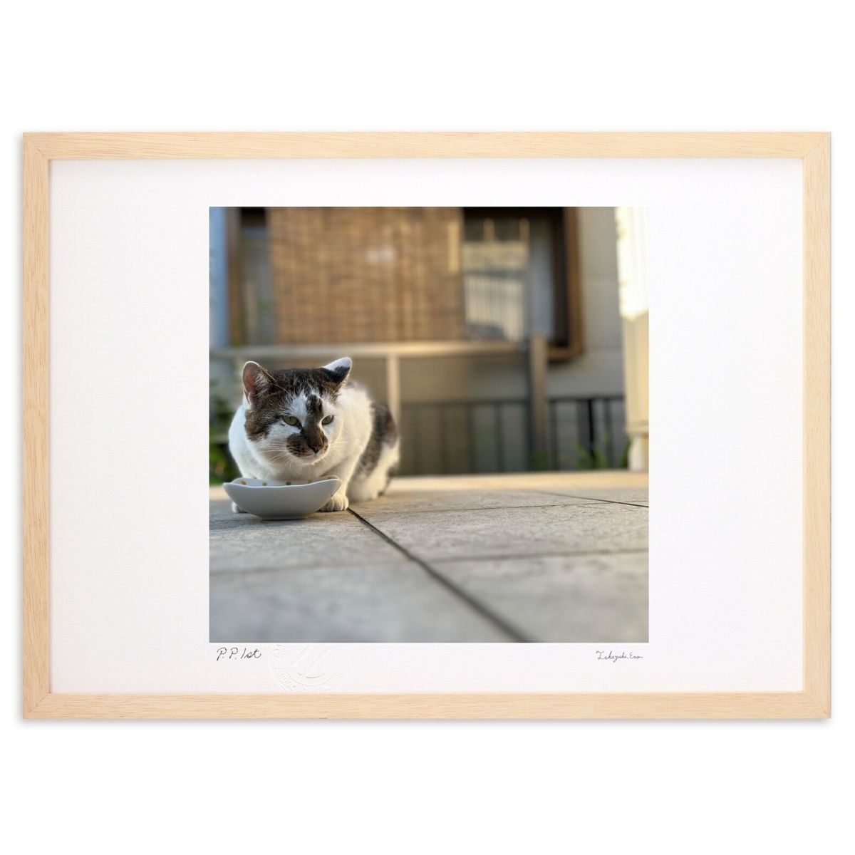 ڥѡSALEȾۡǲ ɤε© (Ҥ椭)ƥꥢ ɳݤ  ʲ ݥ  ӥ ؤ˾  ץ쥼  ...