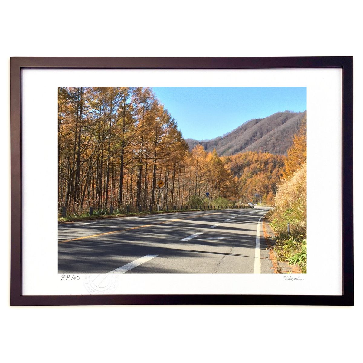 ڥѡSALEȾۡǲ ⾾ι ()ƥꥢ ɳݤ  ʲ ݥ  ӥ ؤ˾  ץ쥼  ...