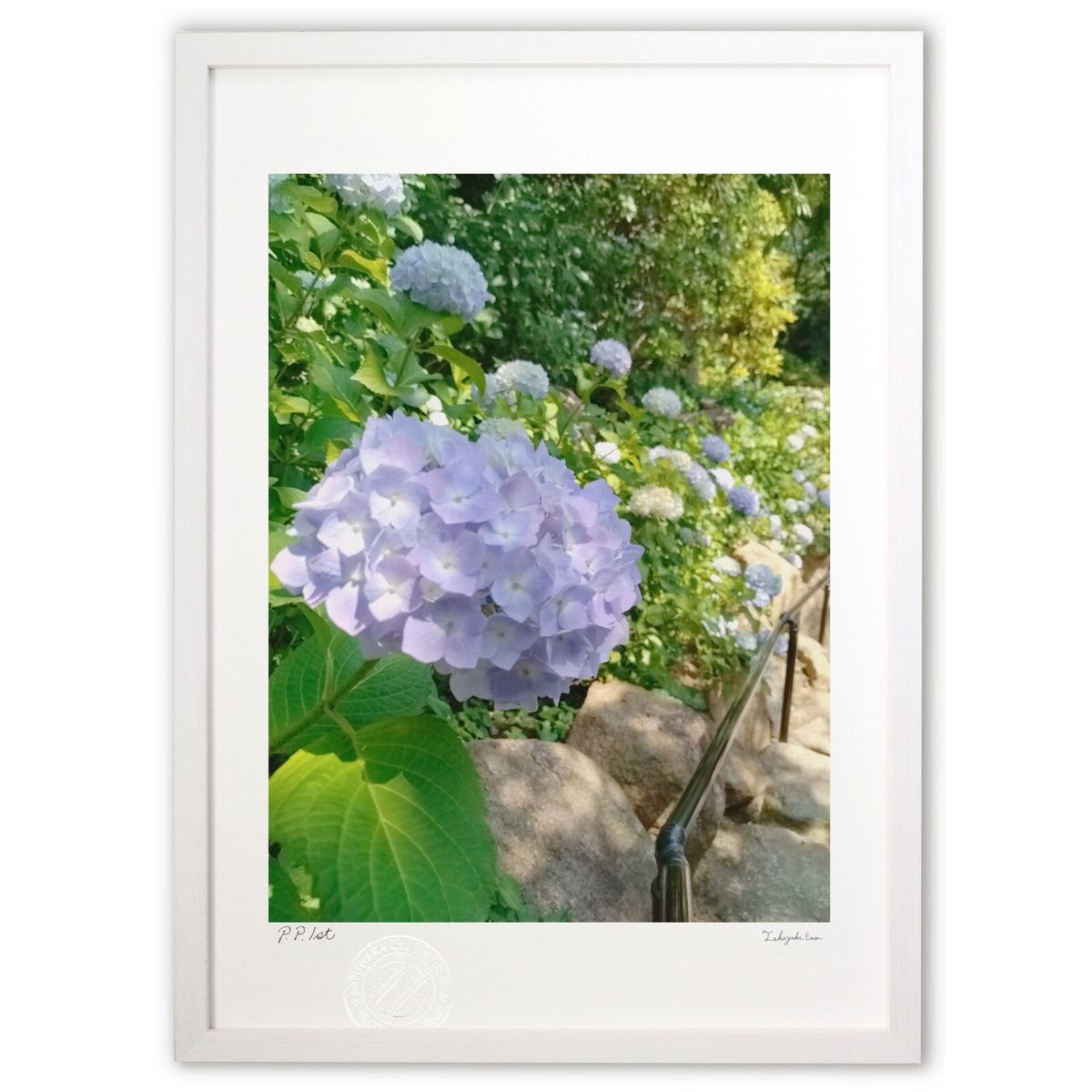 ڥѡSALEȾۡǲ ʤΤФ ( )ƥꥢ ɳݤ  ʲ ݥ  ӥ ؤ˾  ץ쥼 ...