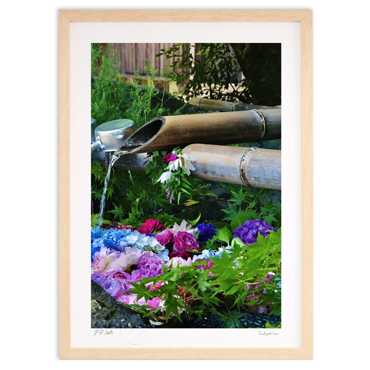 ڥѡSALEȾۡǲ ּ (mitan)ƥꥢ ɳݤ  ʲ ݥ  ӥ ؤ˾  ץ쥼  ...