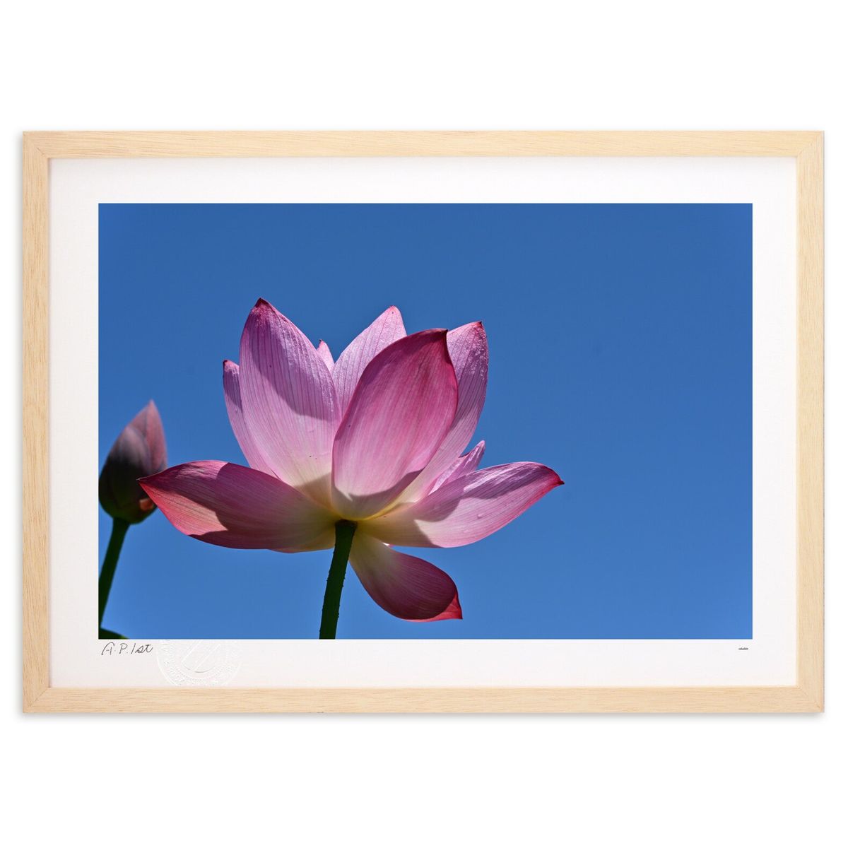 ڥѡSALEȾۡǲ ˸ä (Ϥˤۤؤ)ƥꥢ ɳݤ  ʲ ݥ  ӥ ؤ˾  ץ쥼 ...