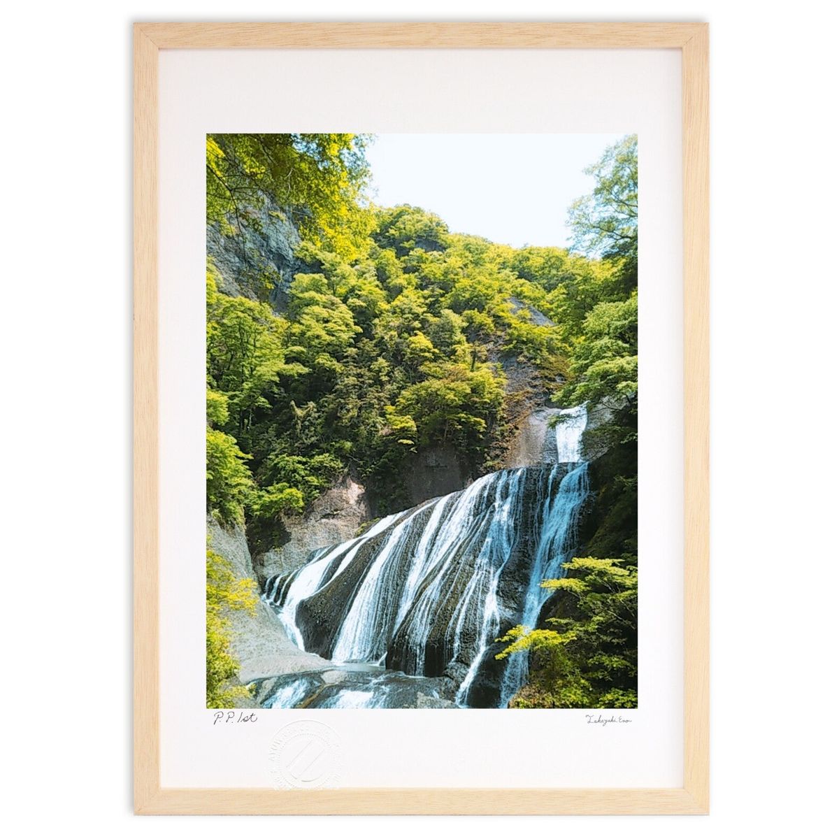 ڥѡSALEȾۡǲ 䤫 ( )ƥꥢ ɳݤ  ʲ ݥ  ӥ ؤ˾  ץ쥼  ...