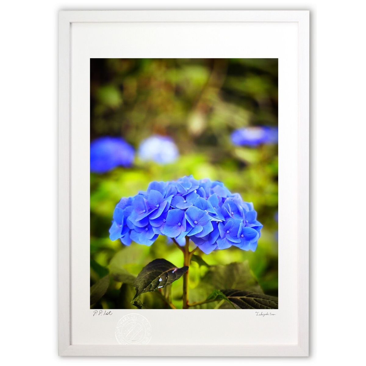 ڥѡSALEȾۡǲ  (hory)ƥꥢ ɳݤ  ʲ ݥ  ӥ ؤ˾  ץ쥼  ȥե졼...