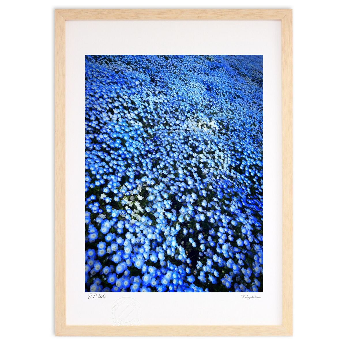 ڥѡSALEȾۡǲ ͥեĤޤ (hory)ƥꥢ ɳݤ  ʲ ݥ  ӥ ؤ˾  ץ쥼...