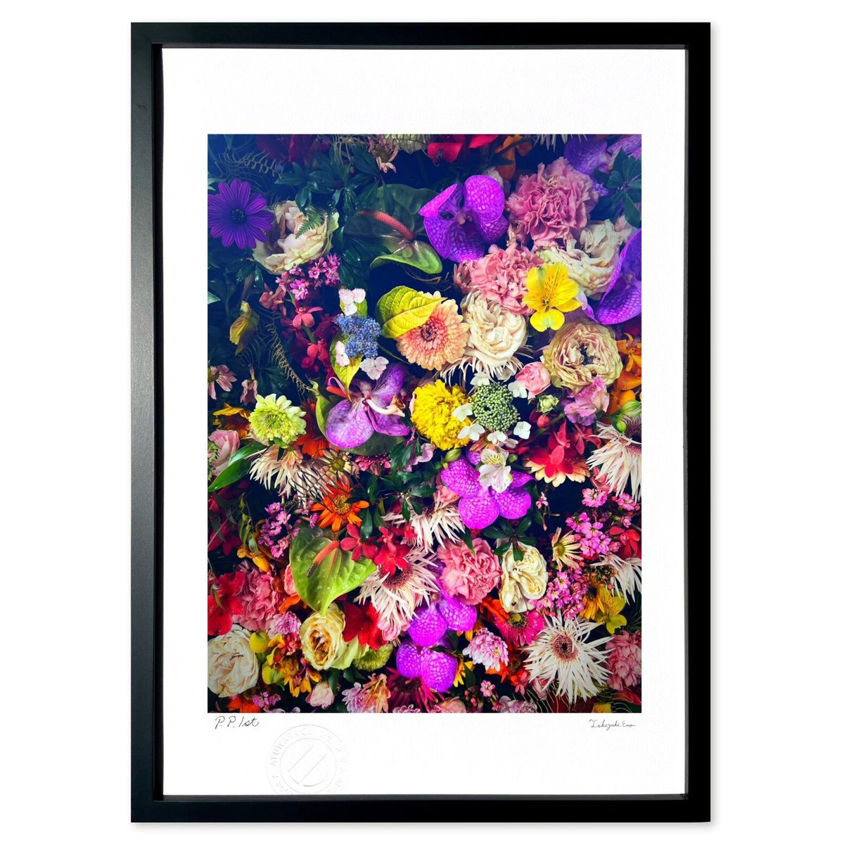 ڥѡSALEȾۡǲ ֡ζ± (hory)ƥꥢ ɳݤ  ʲ ݥ  ӥ ؤ˾  ץ쥼  ...