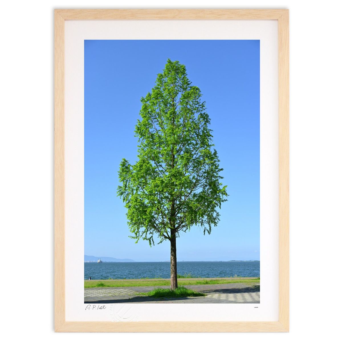 ڥѡSALEȾۡǲ ФĤ (Ϥˤۤؤ)ƥꥢ ɳݤ  ʲ ݥ  ӥ ؤ˾  ץ쥼  ...