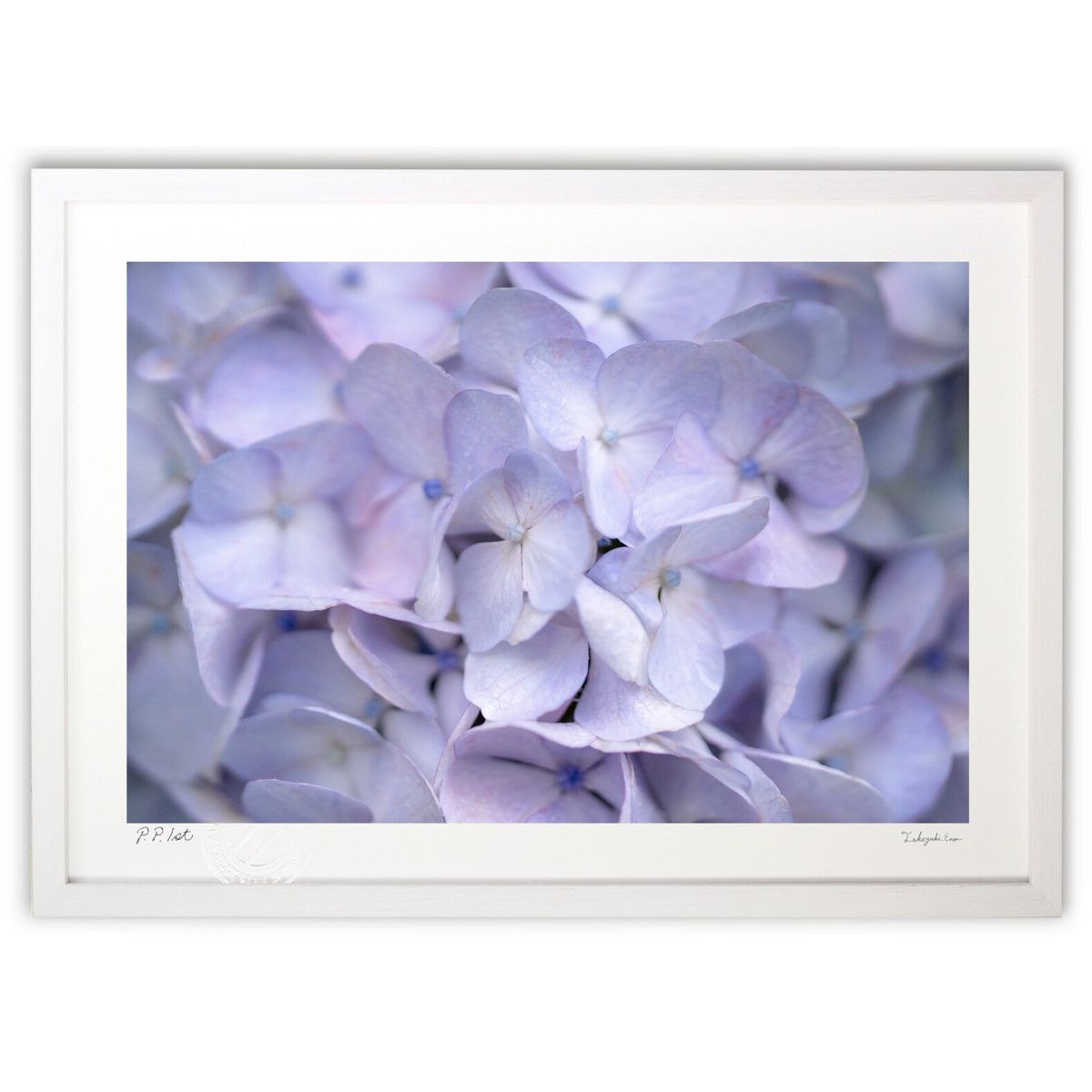 ڥѡSALEȾۡǲ İ (chappy.)ƥꥢ ɳݤ  ʲ ݥ  ӥ ؤ˾  ץ쥼  ...