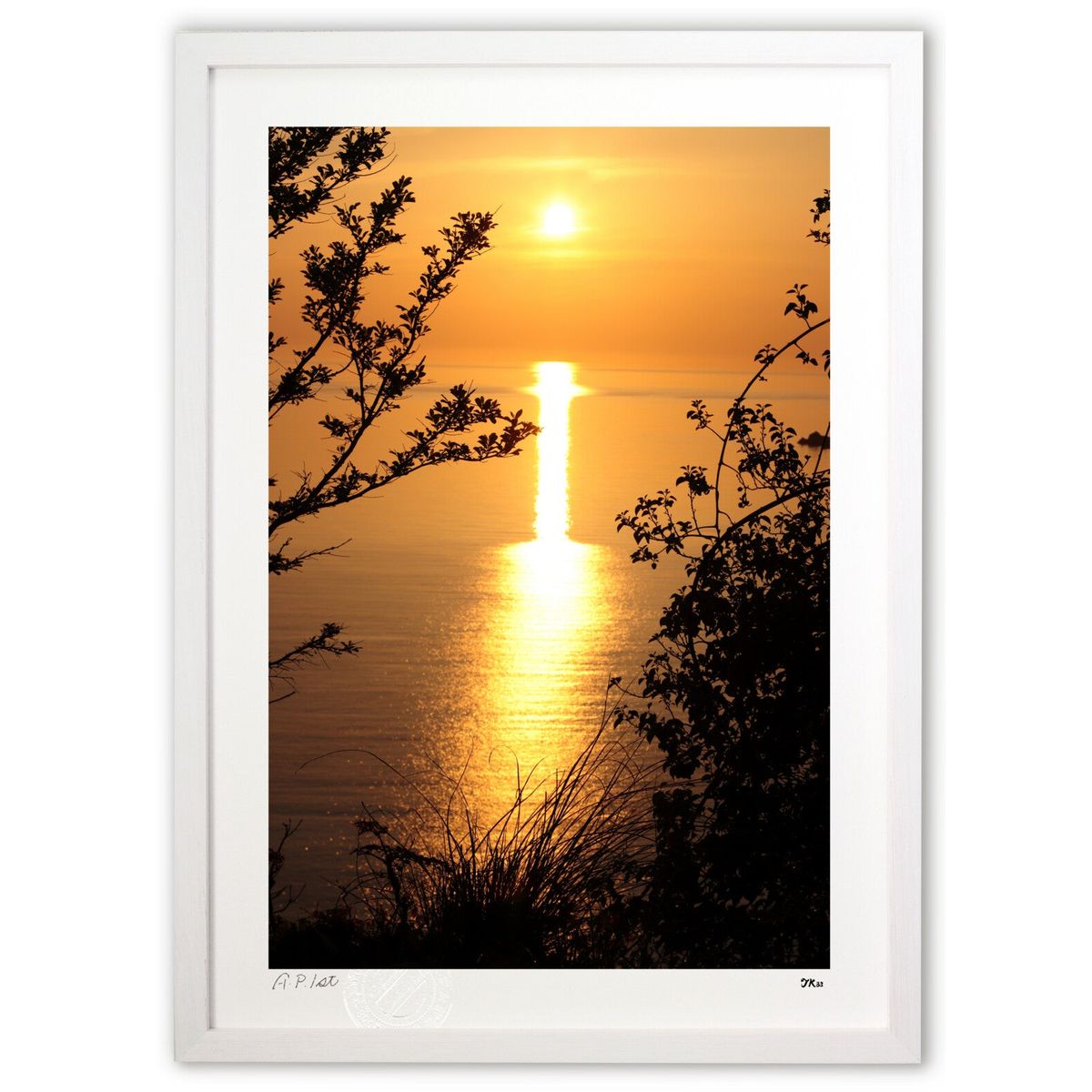 ڥѡSALEȾۡǲ Sunset Time (TK88)ƥꥢ ɳݤ  ʲ ݥ  ӥ ؤ˾  ץ쥼 ...