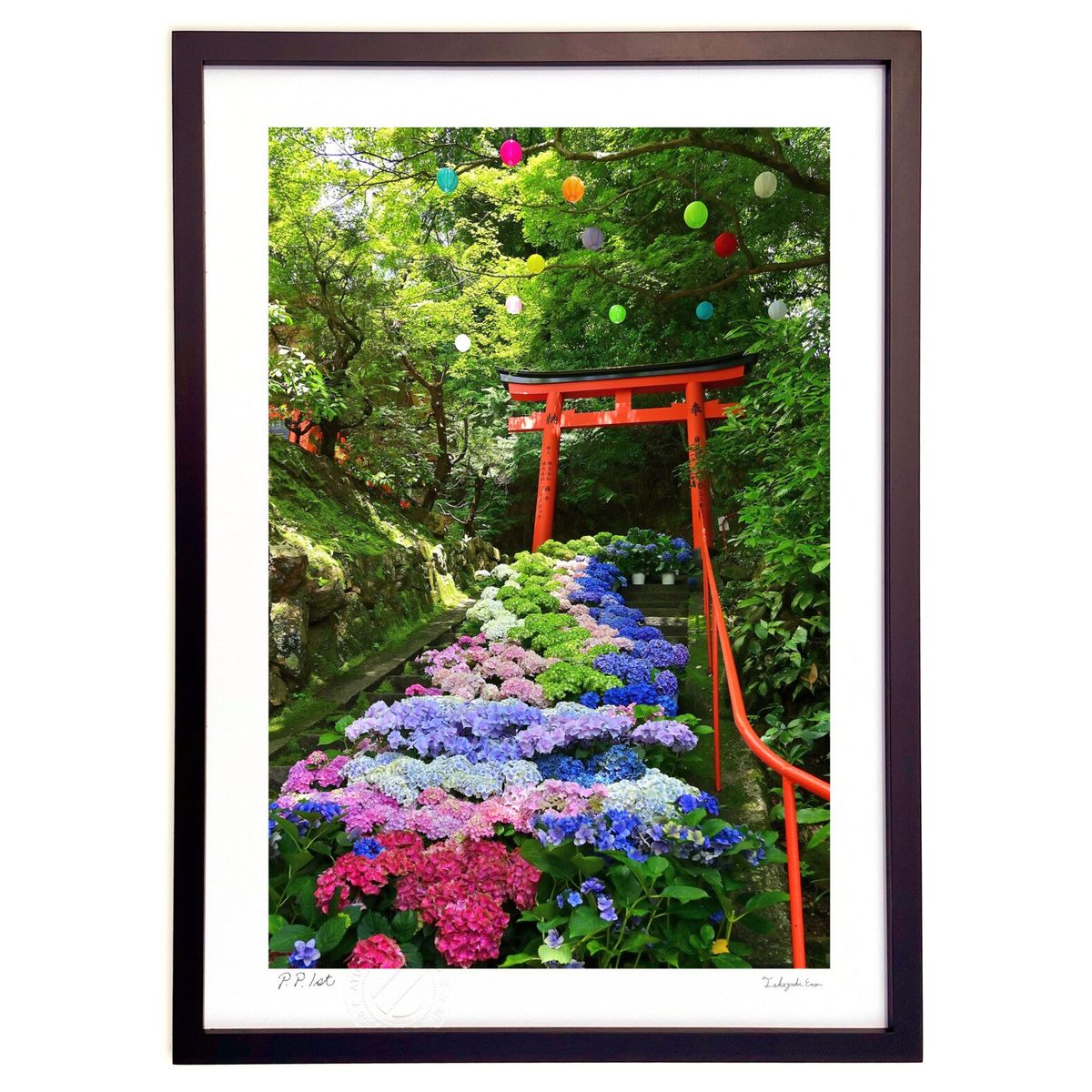 ڥѡSALEȾۡǲ ۲֡Х롼Υ (dolche)ƥꥢ ɳݤ  ʲ ݥ  ӥ ؤ˾  ץ쥼...